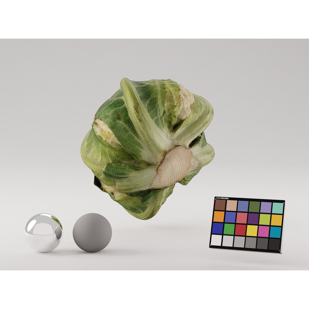 Cauliflower 3D Model – Realistic PBR Asset, FBX, OBJ, C4D - View 7