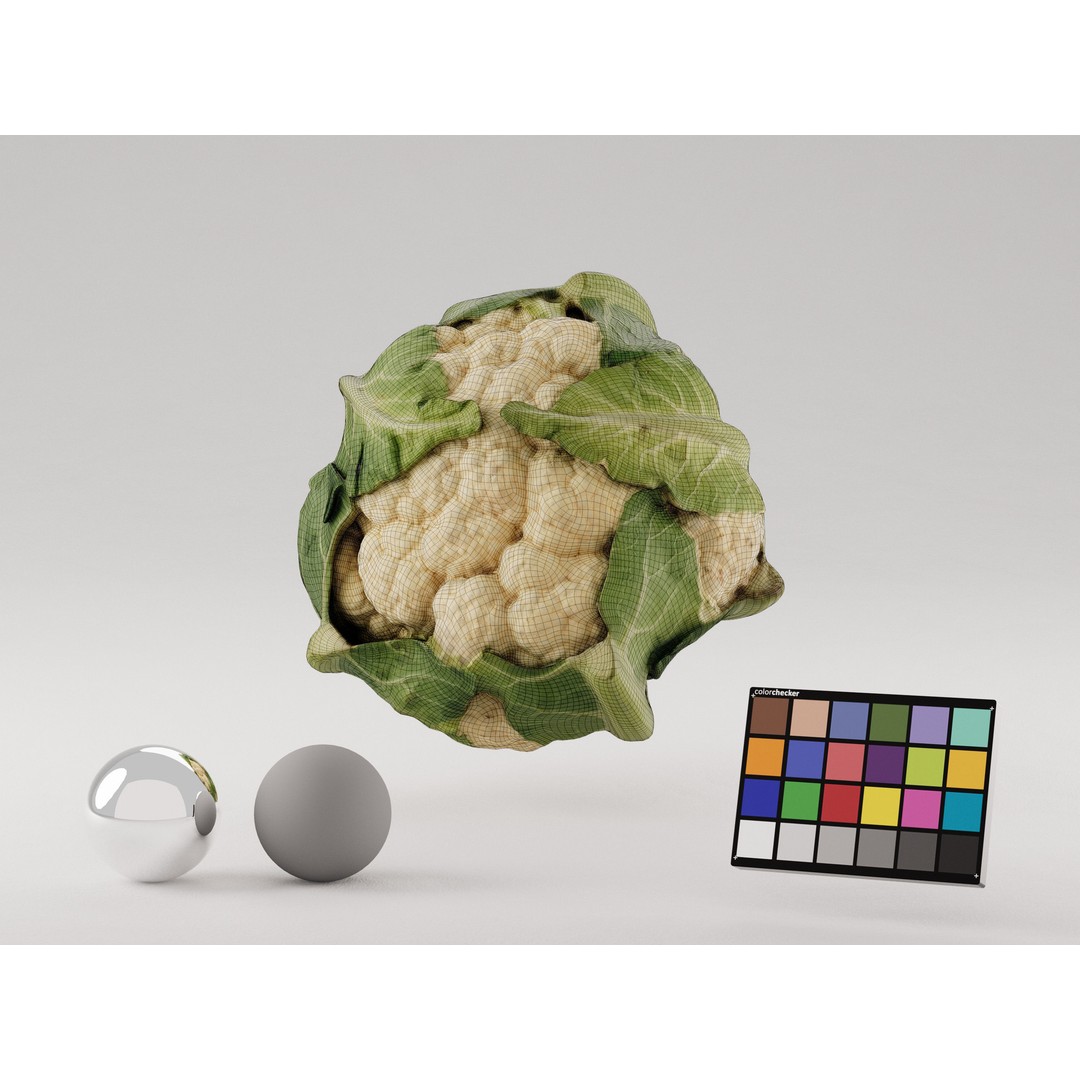 Cauliflower 3D Model – Realistic PBR Asset, FBX, OBJ, C4D - View 8