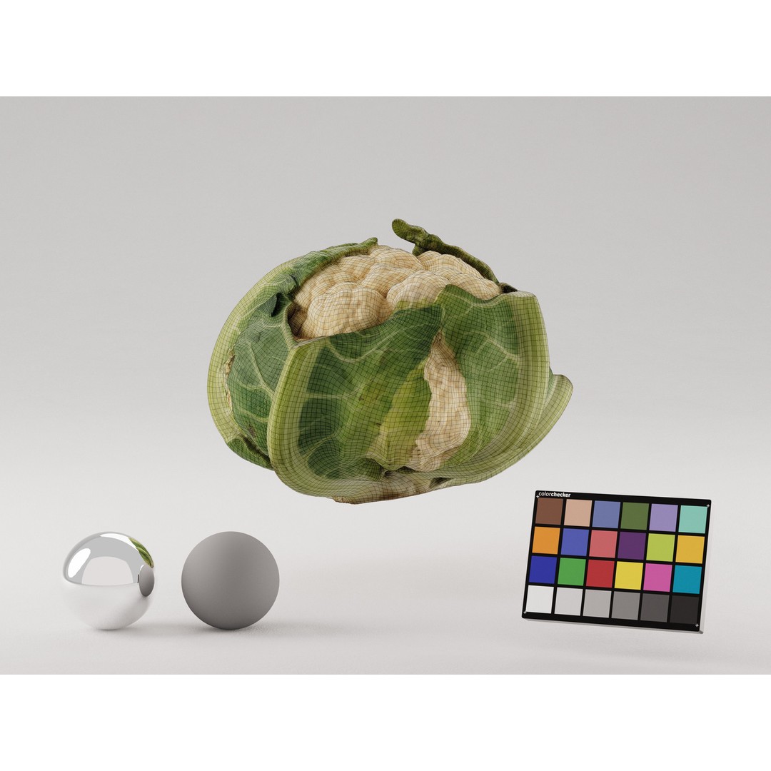 Cauliflower 3D Model – Realistic PBR Asset, FBX, OBJ, C4D - View 9