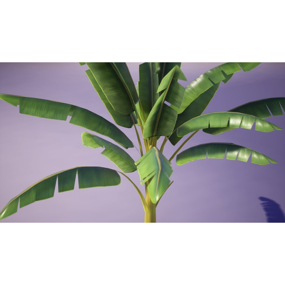 Banana and Strelitzia Plants 3D Model – Low Poly Game Ready Assets, FBX