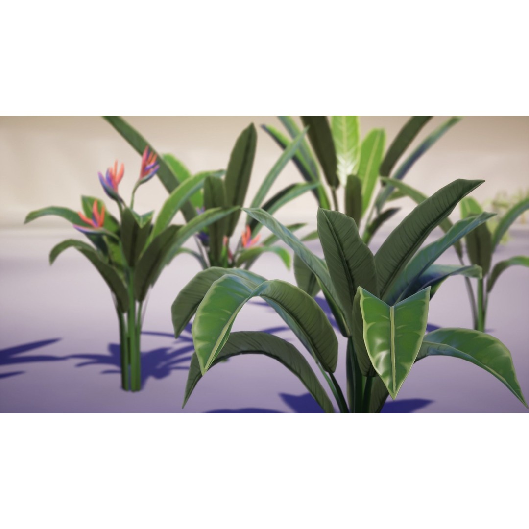 Banana and Strelitzia Plants 3D Model – Low Poly Game Ready Assets, FBX - View 10
