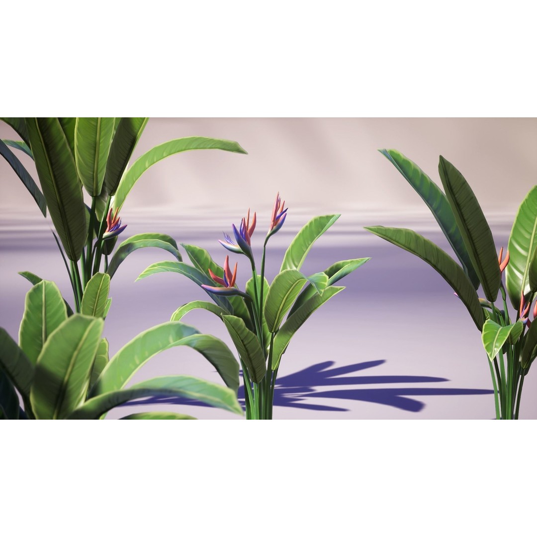 Banana and Strelitzia Plants 3D Model – Low Poly Game Ready Assets, FBX - View 11