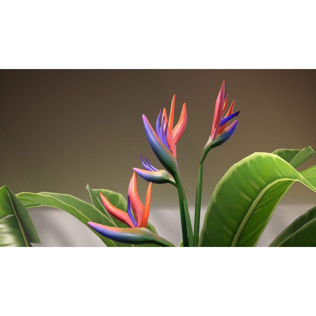 Banana and Strelitzia Plants 3D Model – Low Poly Game Ready Assets, FBX - View 13
