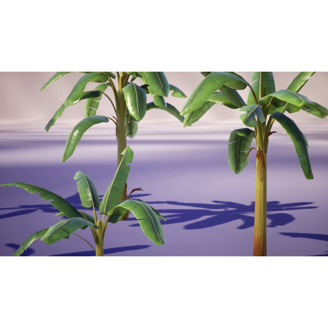 Banana and Strelitzia Plants 3D Model – Low Poly Game Ready Assets, FBX - View 15