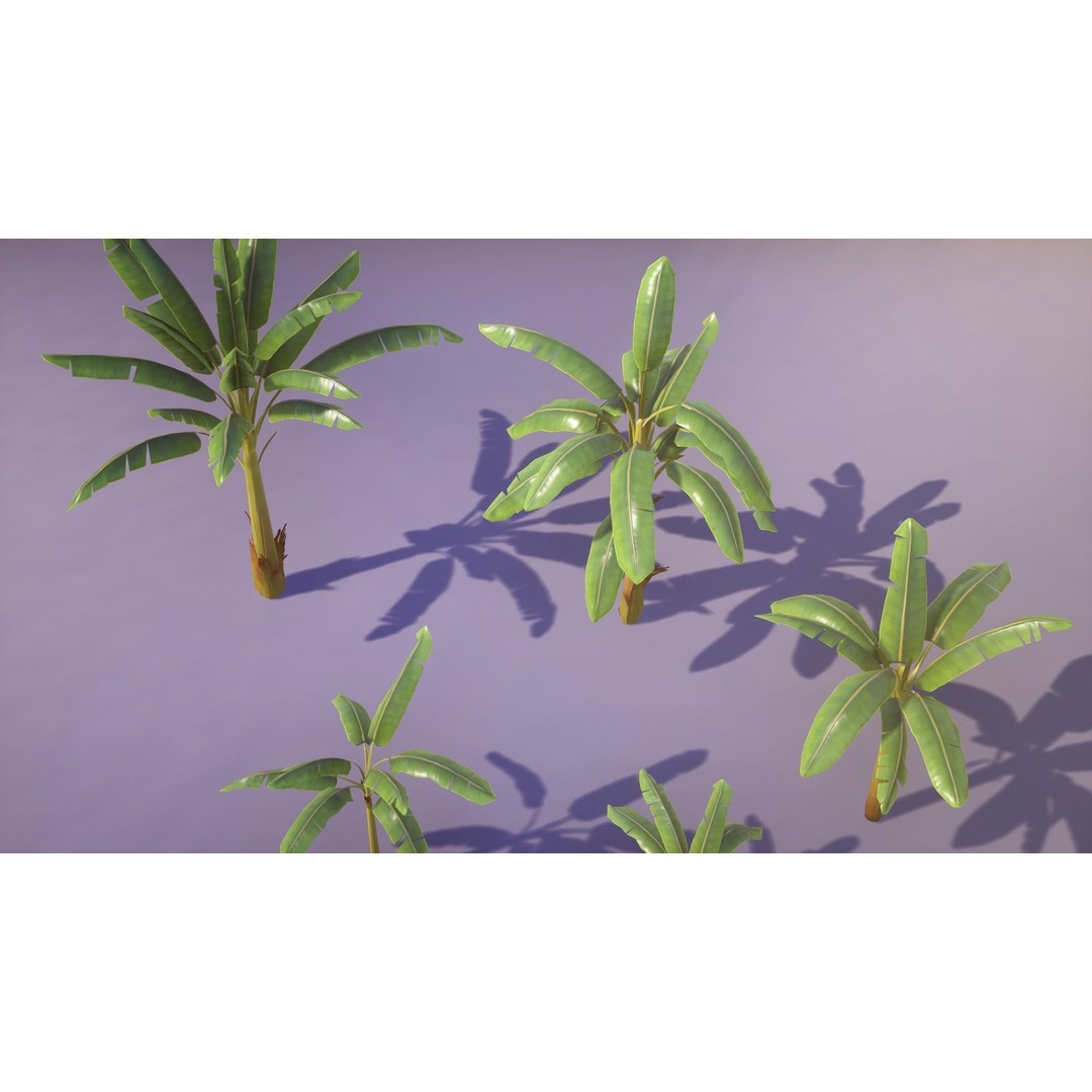 Banana and Strelitzia Plants 3D Model – Low Poly Game Ready Assets, FBX - View 16