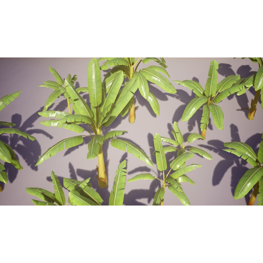 Banana and Strelitzia Plants 3D Model – Low Poly Game Ready Assets, FBX - View 18
