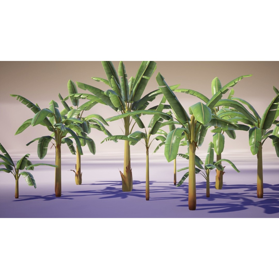 Banana and Strelitzia Plants 3D Model – Low Poly Game Ready Assets, FBX - View 19
