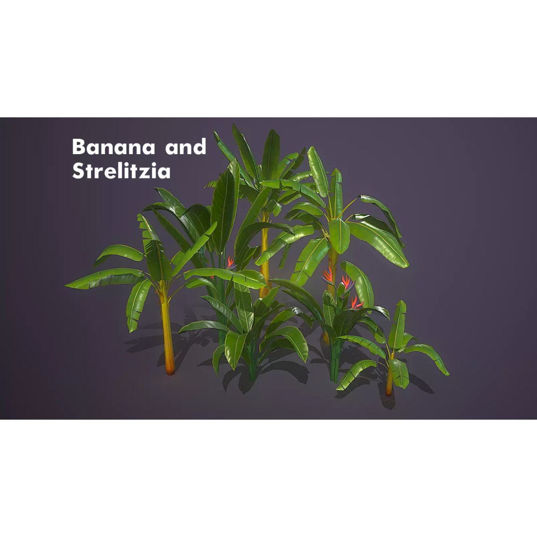 Banana and Strelitzia Plants 3D Model – Low Poly Game Ready Assets, FBX - View 2