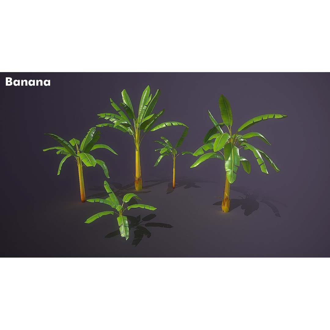 Banana and Strelitzia Plants 3D Model – Low Poly Game Ready Assets, FBX - View 3