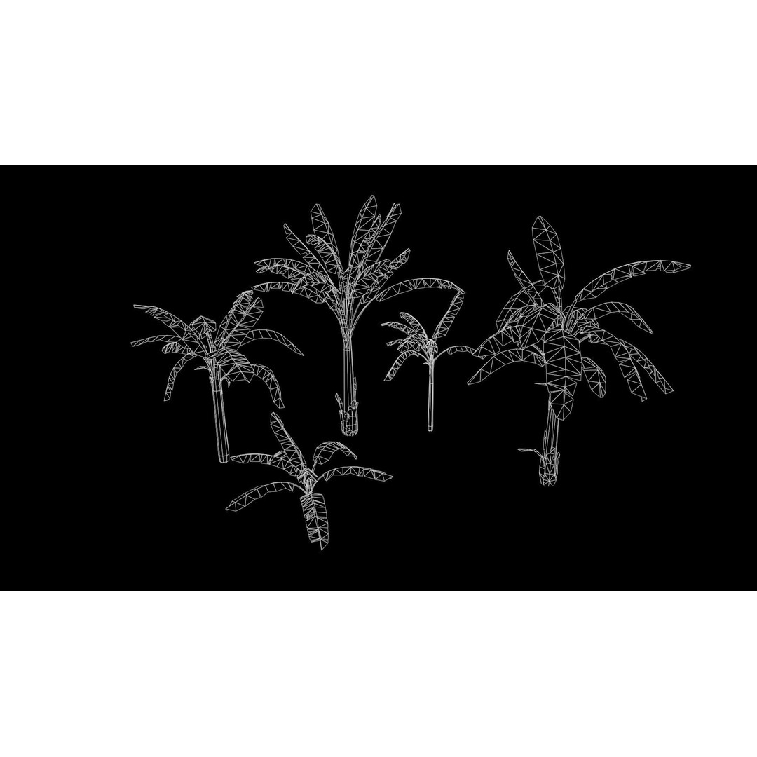 Banana and Strelitzia Plants 3D Model – Low Poly Game Ready Assets, FBX - View 4