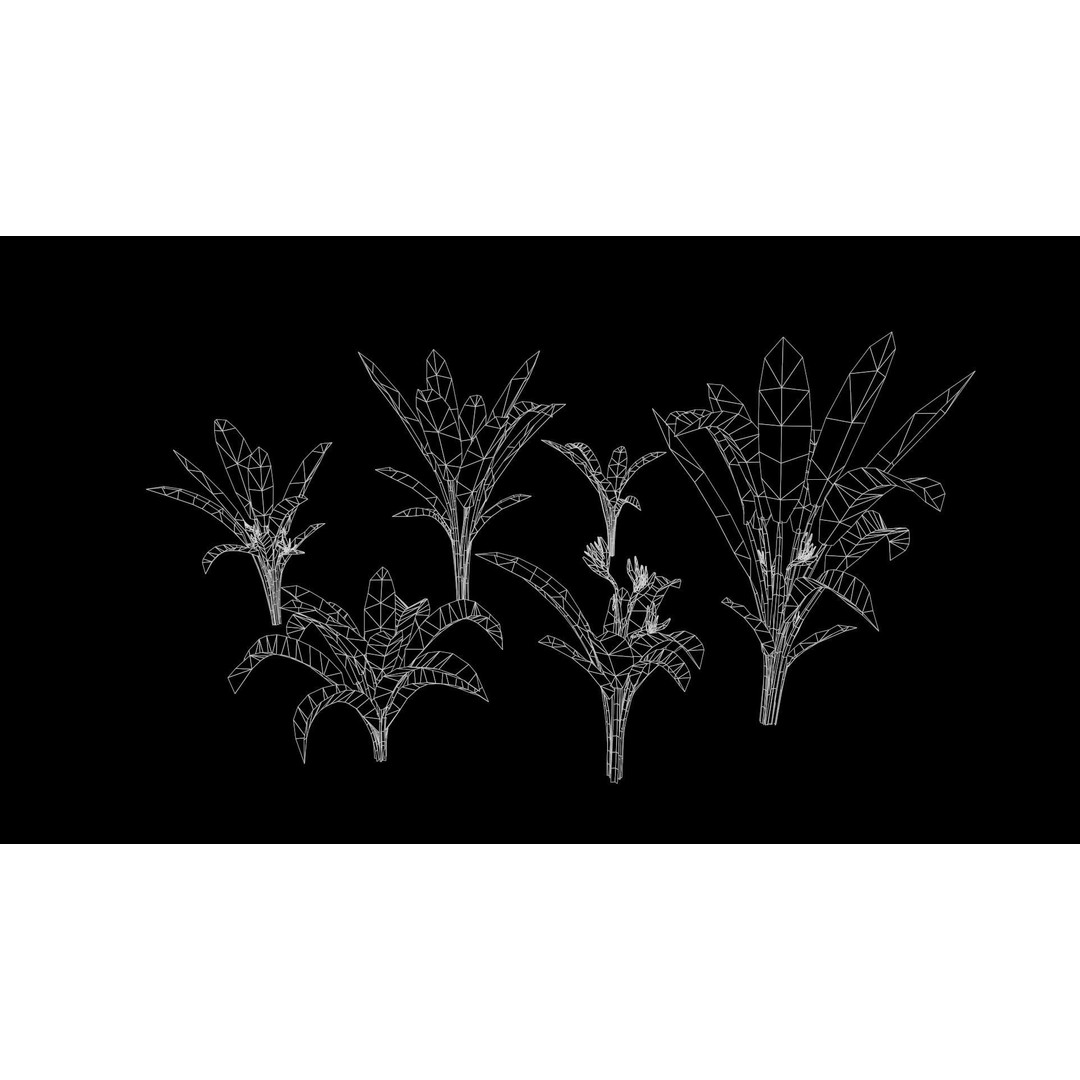 Banana and Strelitzia Plants 3D Model – Low Poly Game Ready Assets, FBX - View 6
