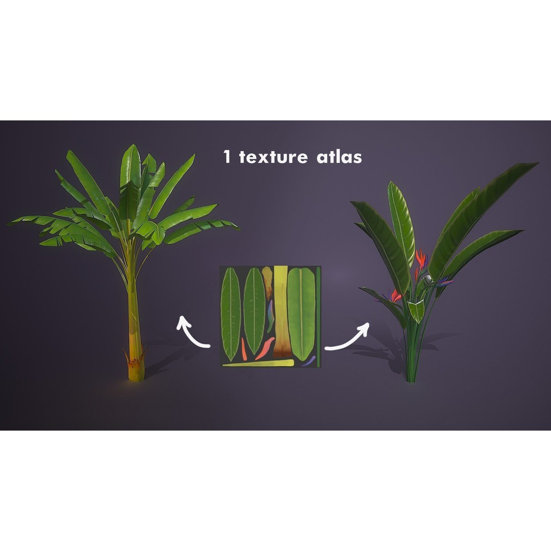 Banana and Strelitzia Plants 3D Model – Low Poly Game Ready Assets, FBX - View 7