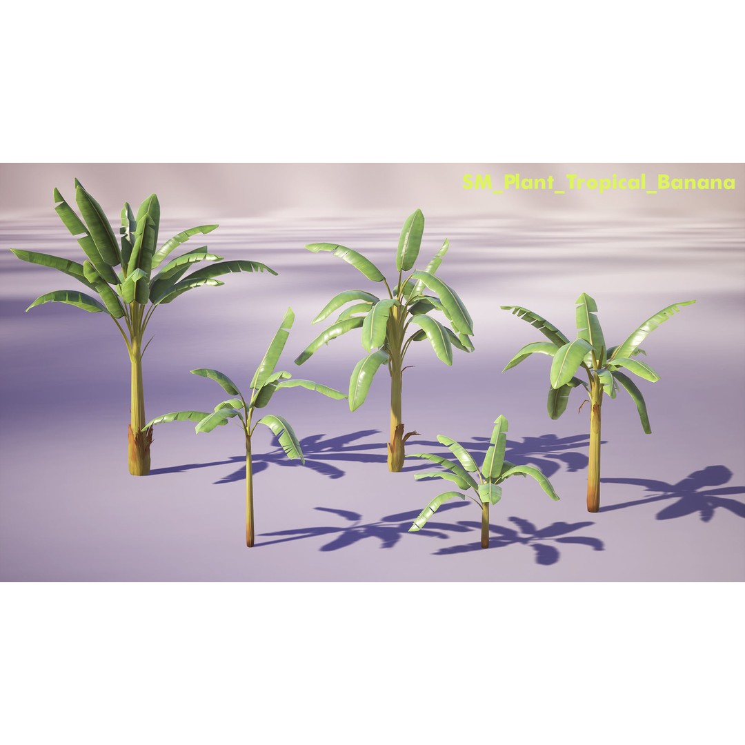 Banana and Strelitzia Plants 3D Model – Low Poly Game Ready Assets, FBX - View 8