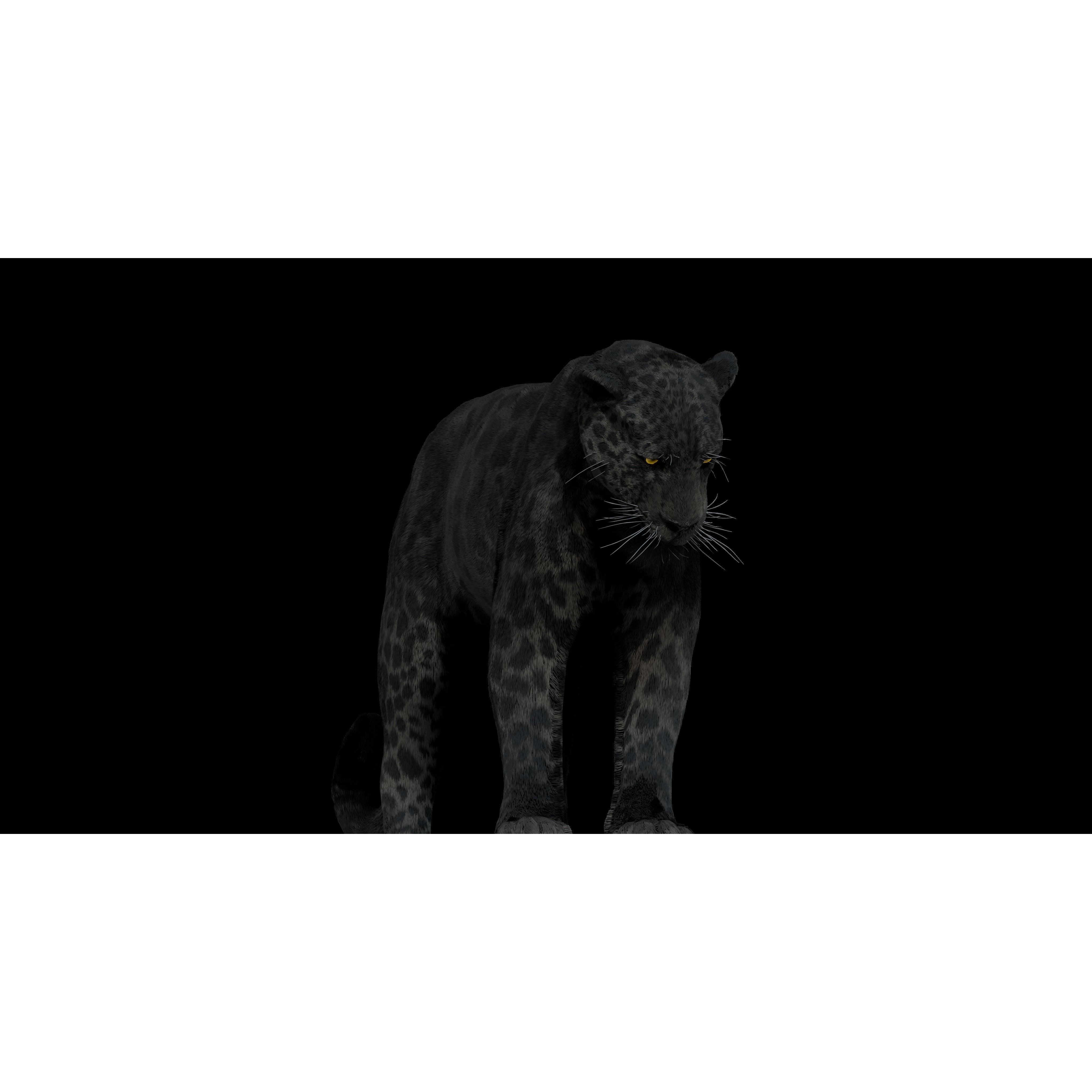 Black Panther Jaguar - Rigged Photorealistic 3D Model - View 10