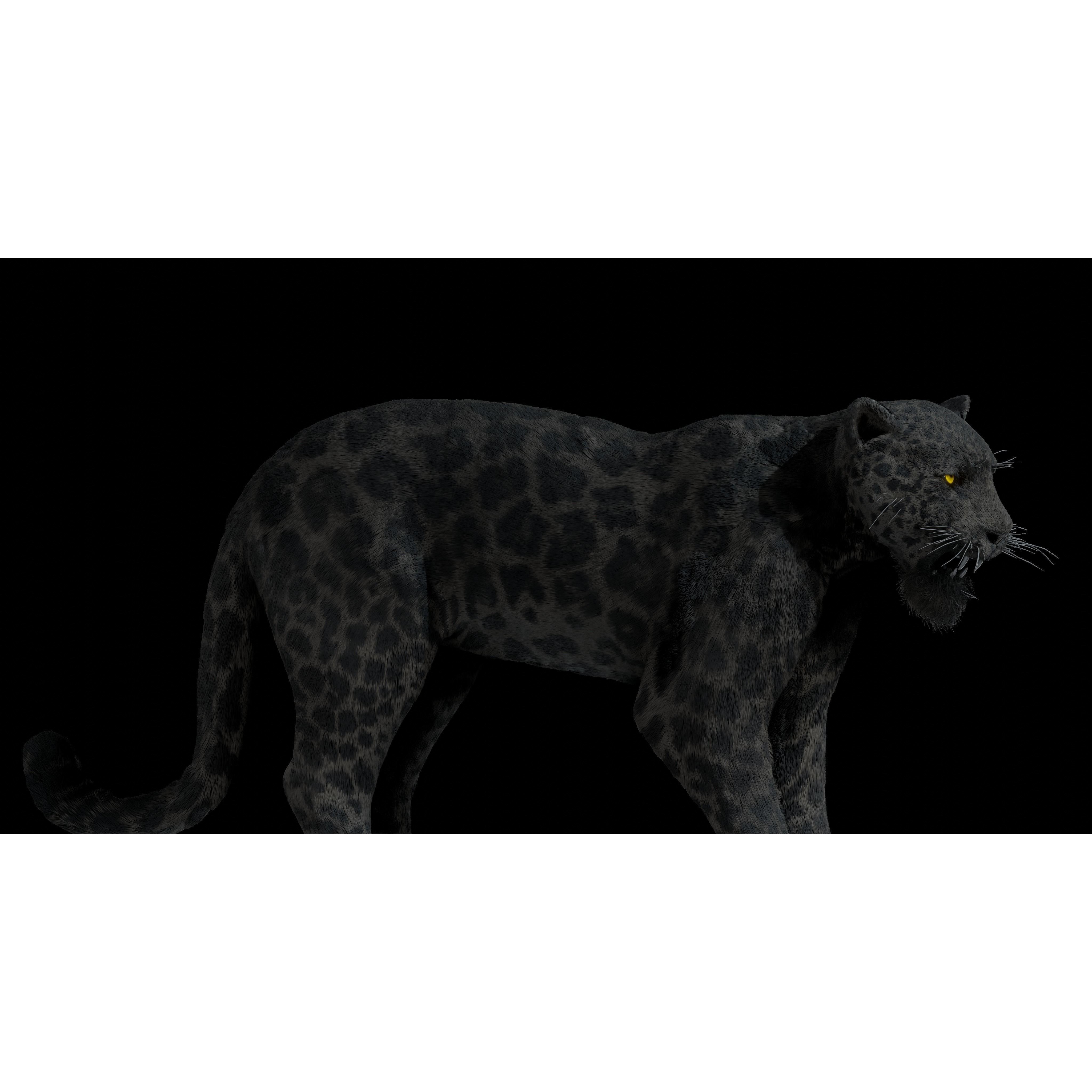 Black Panther Jaguar - Rigged Photorealistic 3D Model - View 11