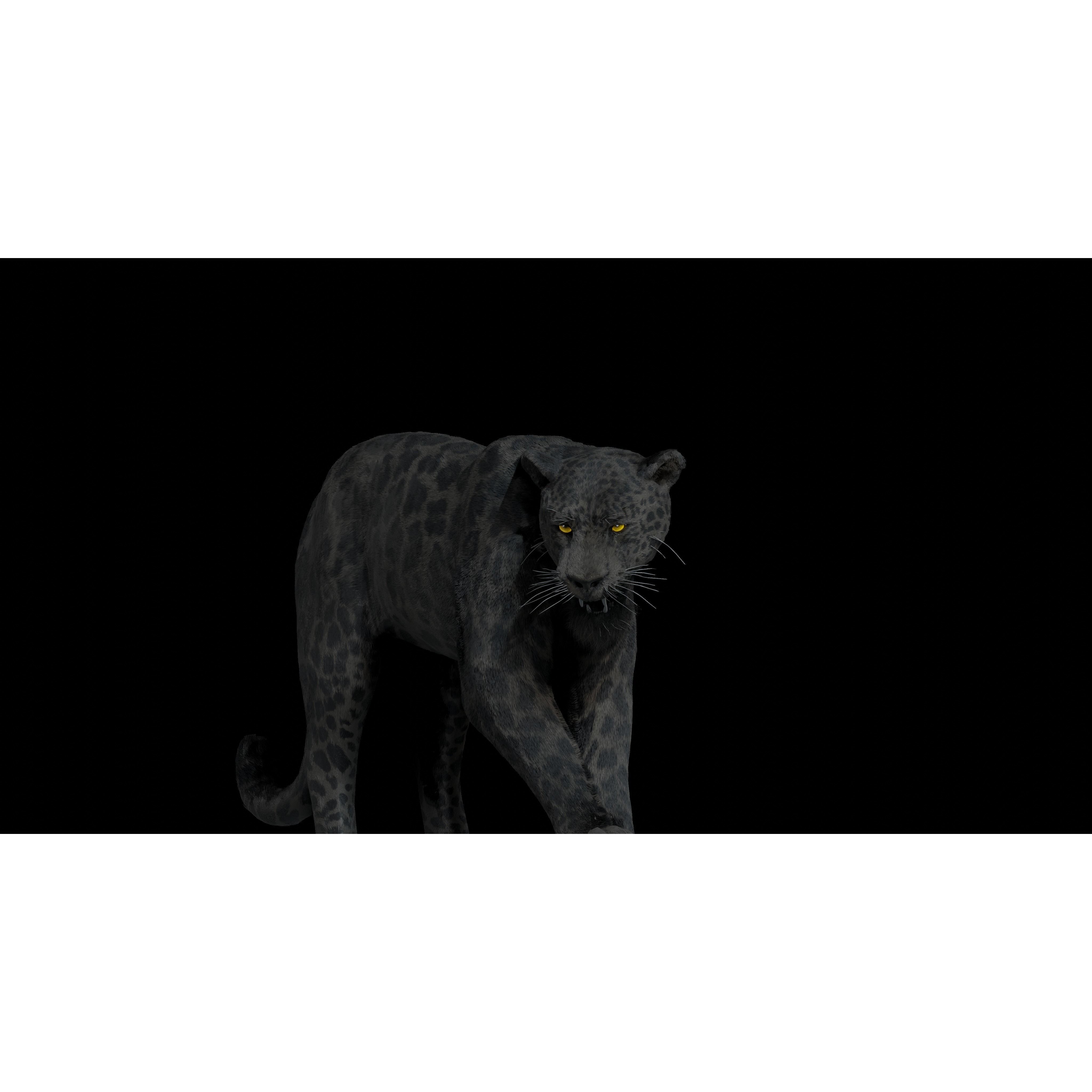 Black Panther Jaguar - Rigged Photorealistic 3D Model - View 12