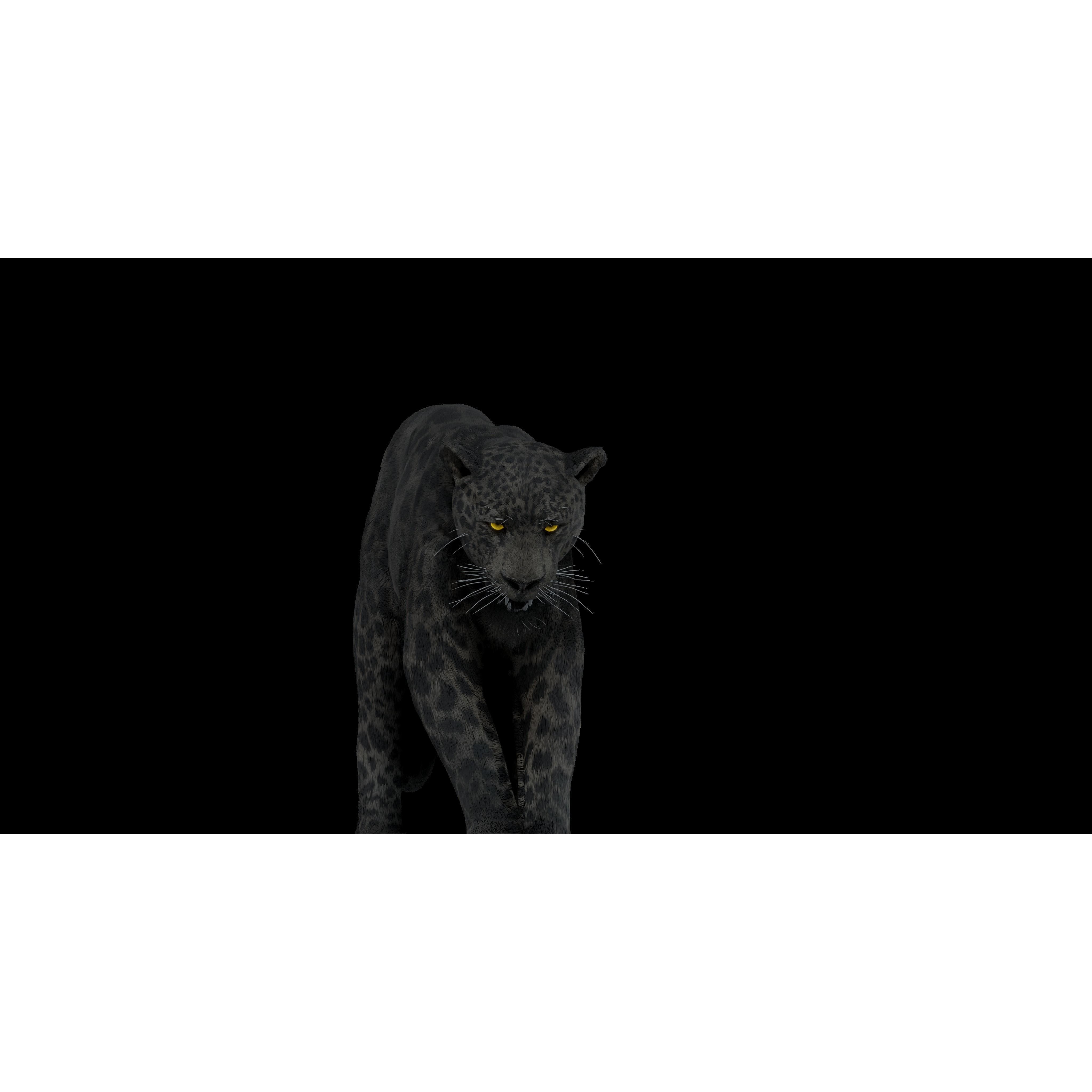 Black Panther Jaguar - Rigged Photorealistic 3D Model - View 14