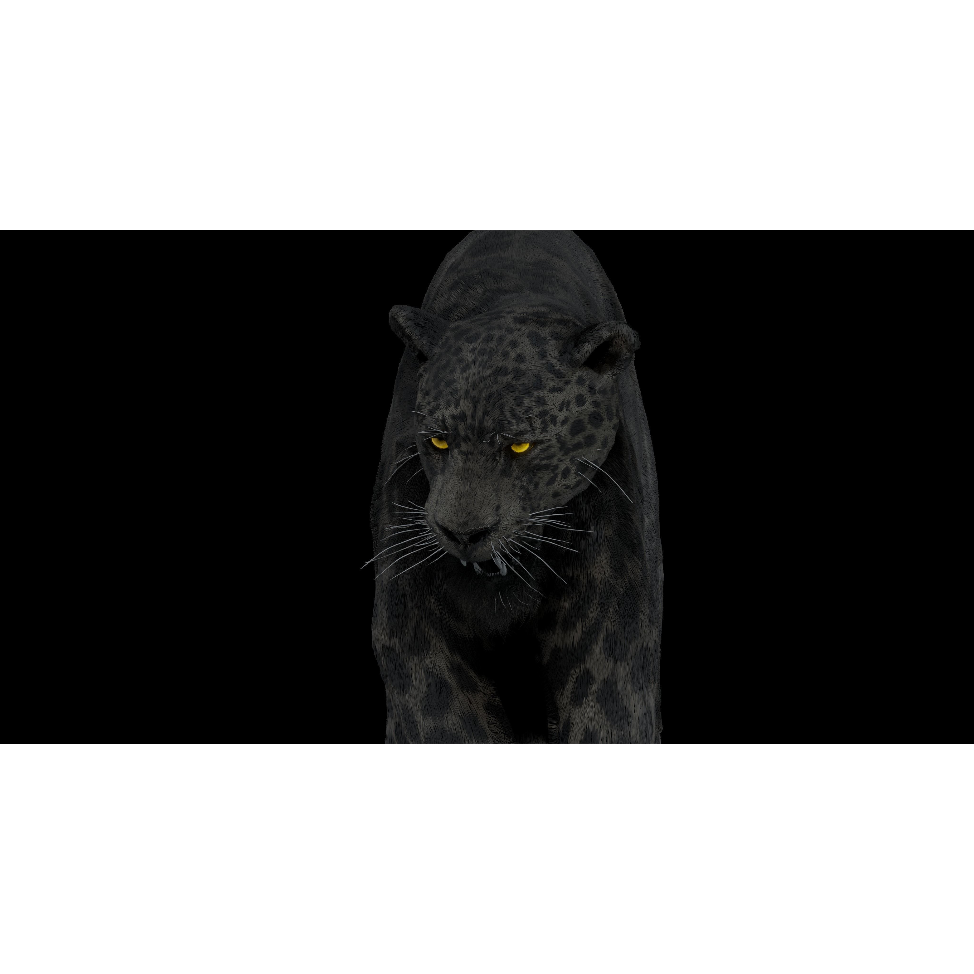 Black Panther Jaguar - Rigged Photorealistic 3D Model - View 15