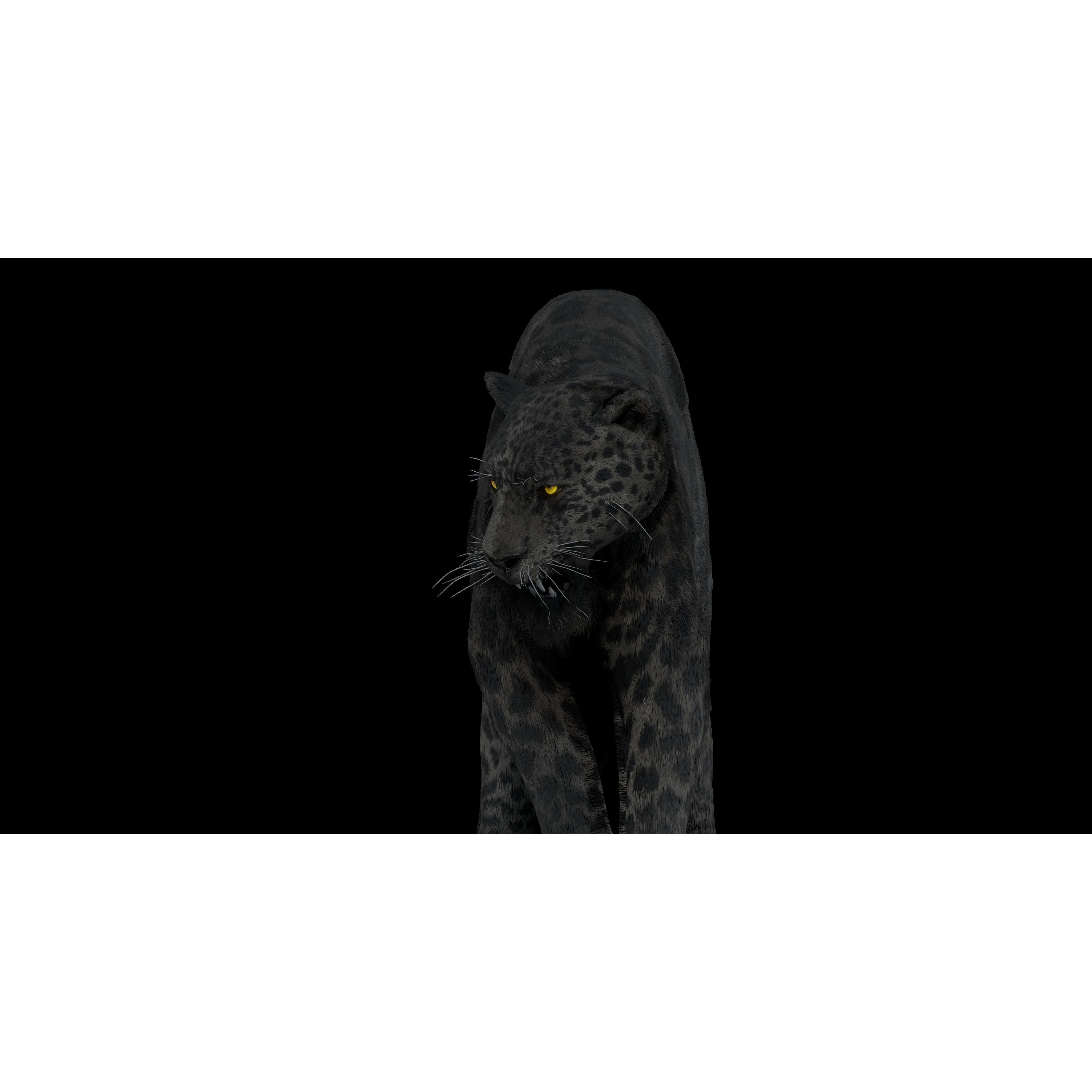 Black Panther Jaguar - Rigged Photorealistic 3D Model - View 16