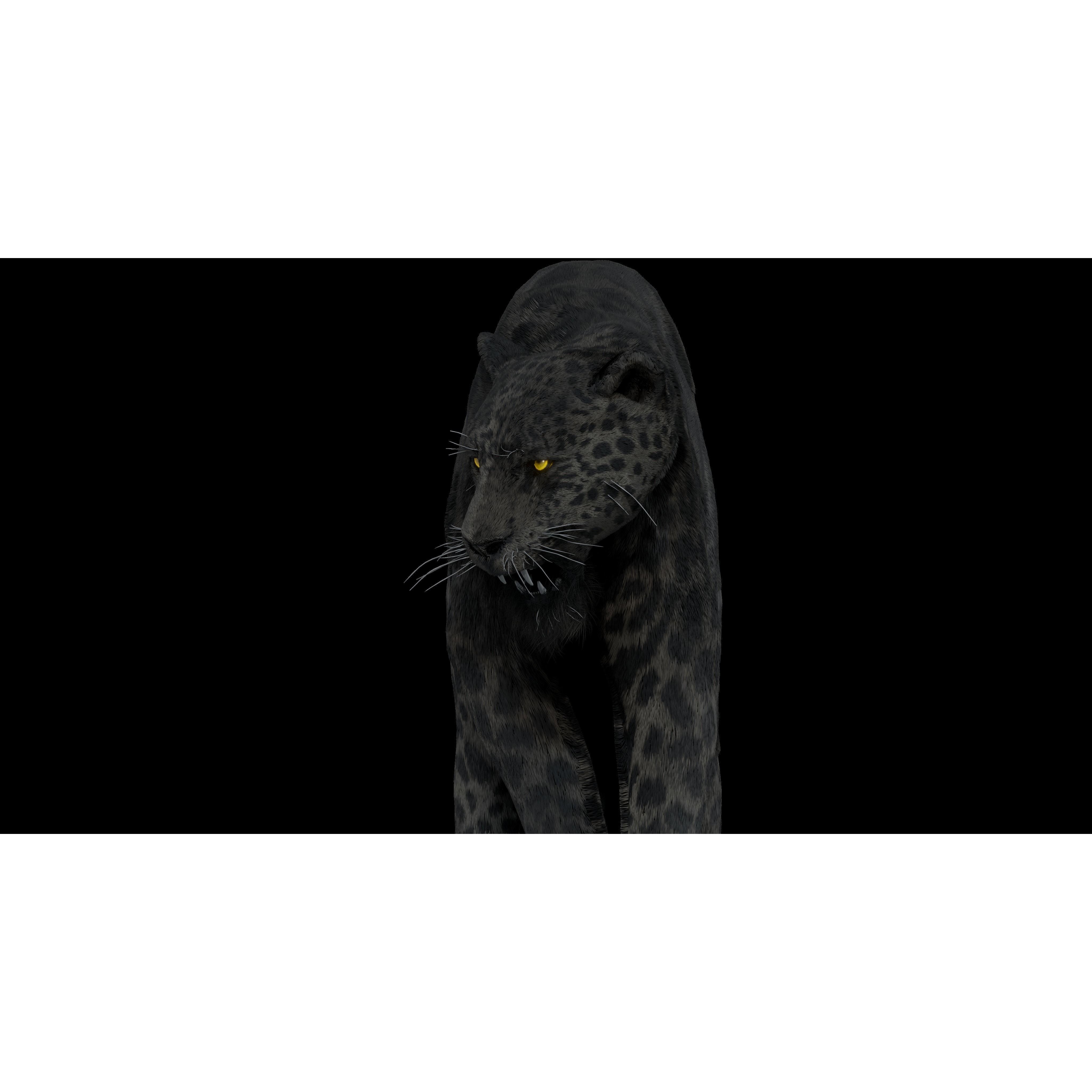 Black Panther Jaguar - Rigged Photorealistic 3D Model - View 17
