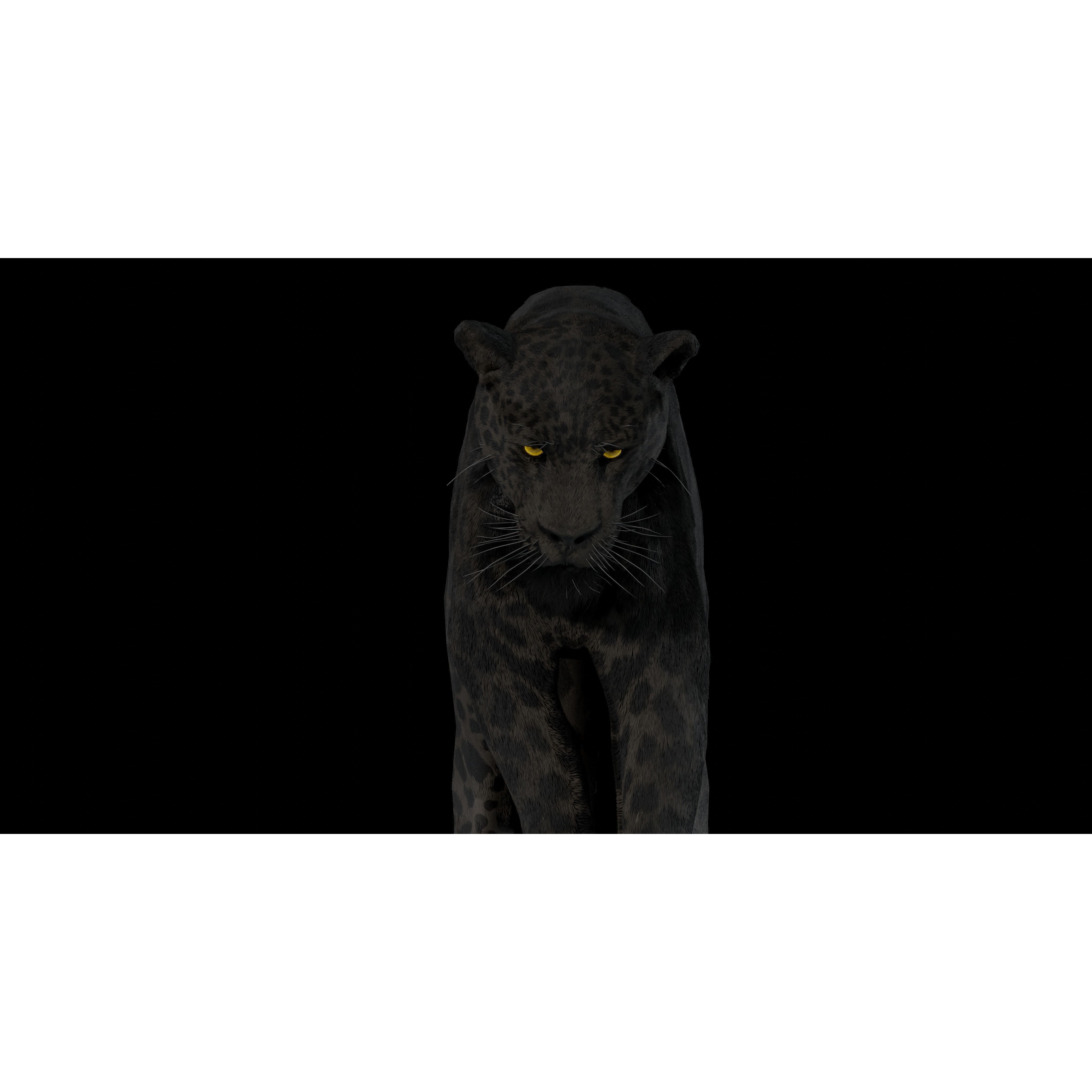 Black Panther Jaguar - Rigged Photorealistic 3D Model - View 18