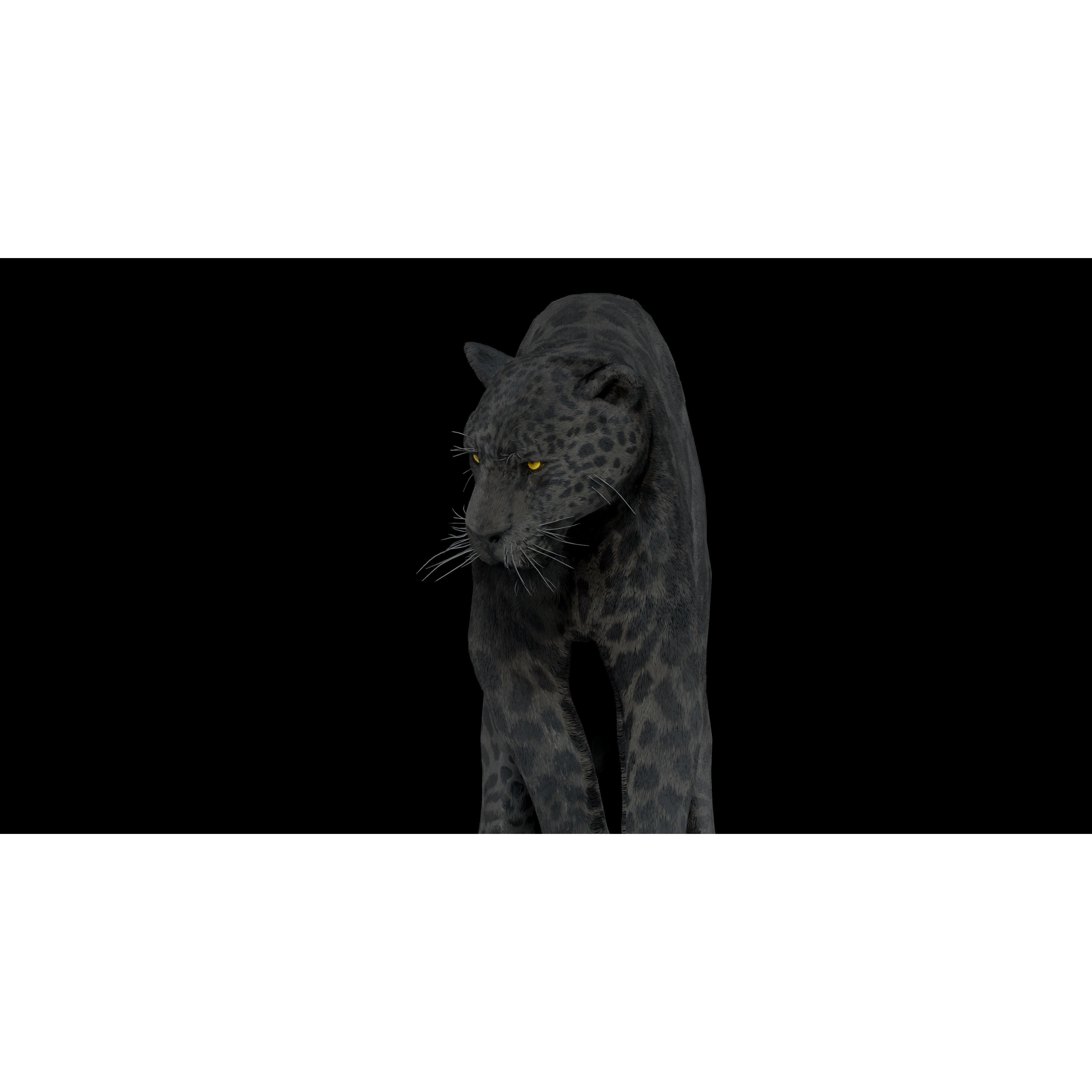 Black Panther Jaguar - Rigged Photorealistic 3D Model - View 19