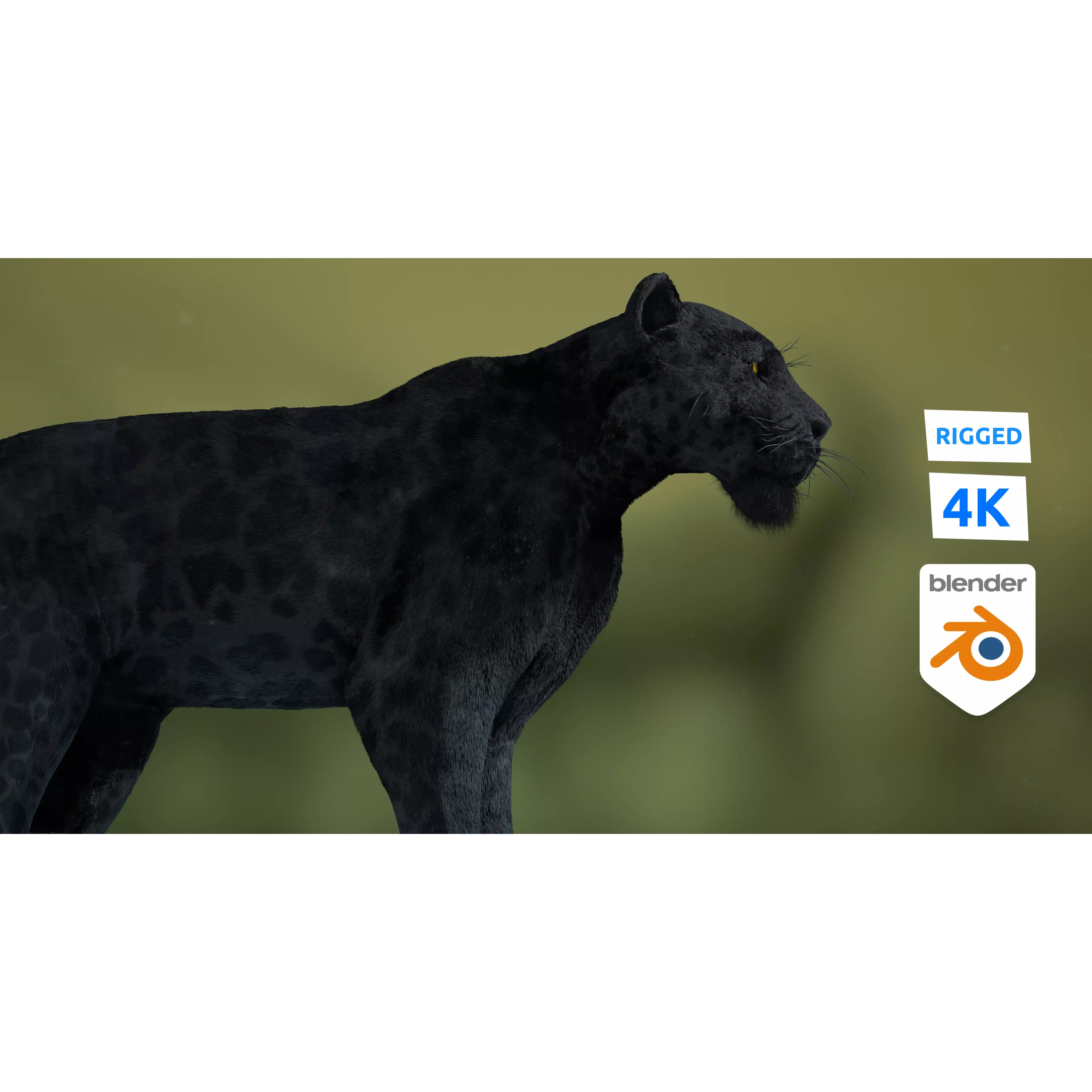 Black Panther Jaguar - Rigged Photorealistic 3D Model - View 2