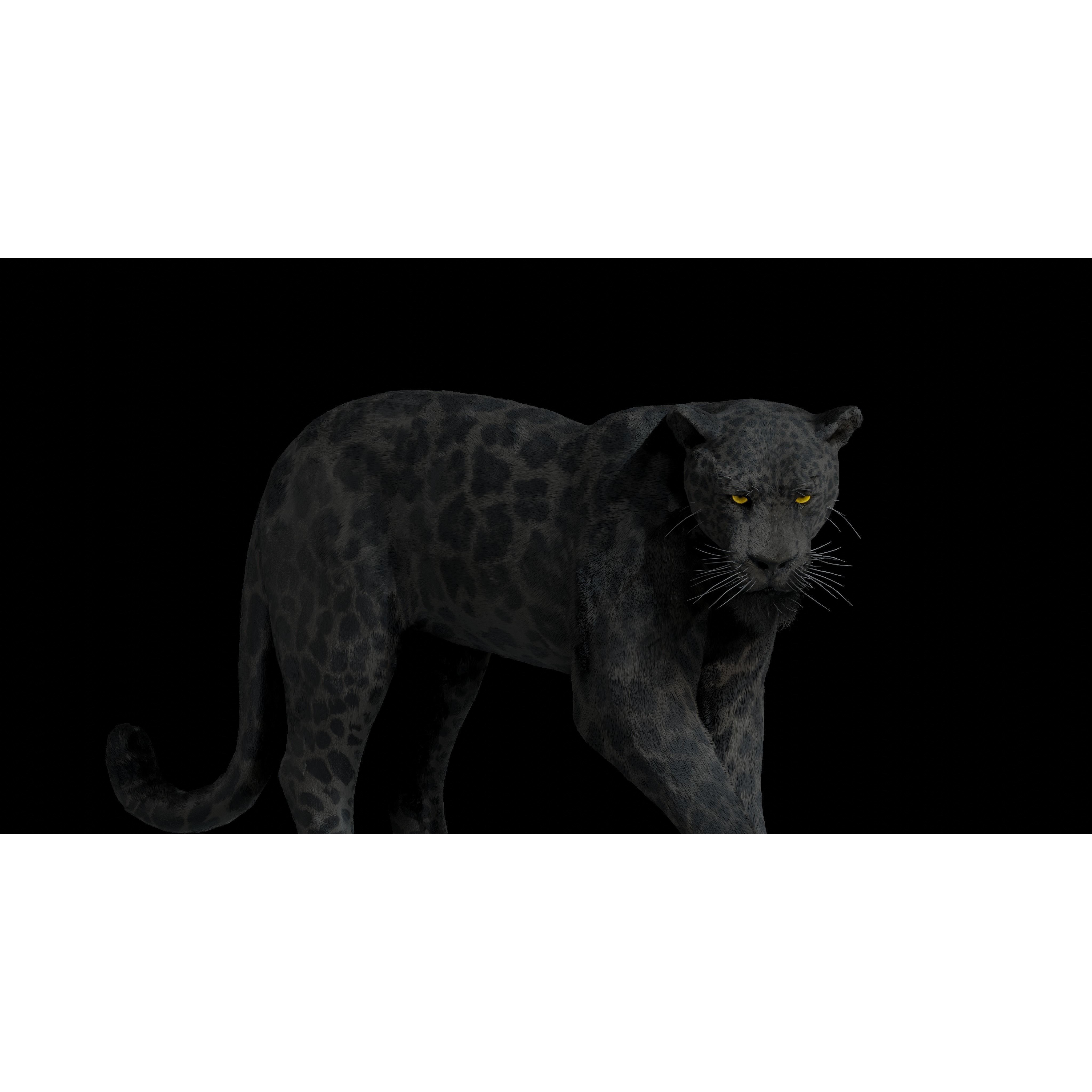 Black Panther Jaguar - Rigged Photorealistic 3D Model - View 20