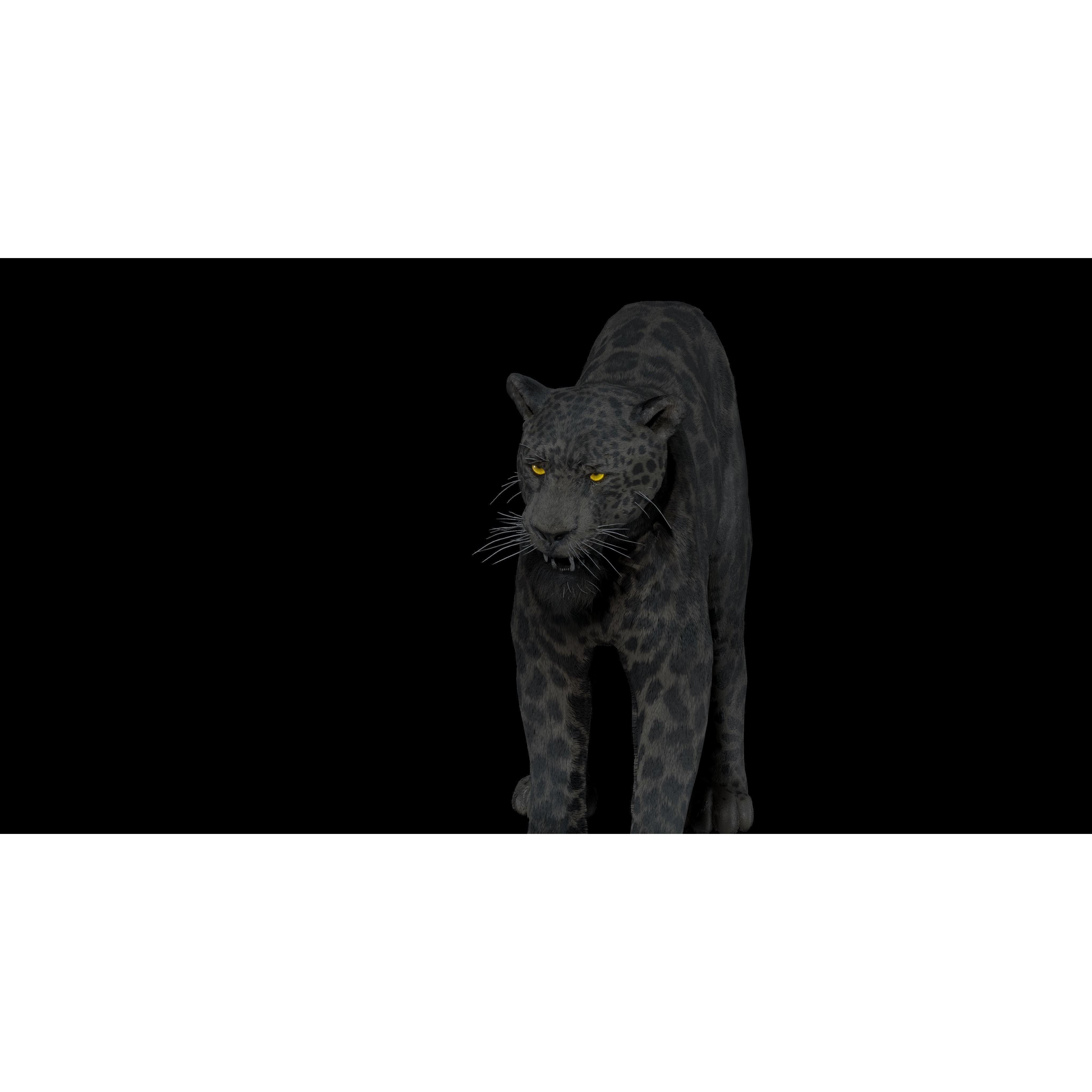 Black Panther Jaguar - Rigged Photorealistic 3D Model - View 21
