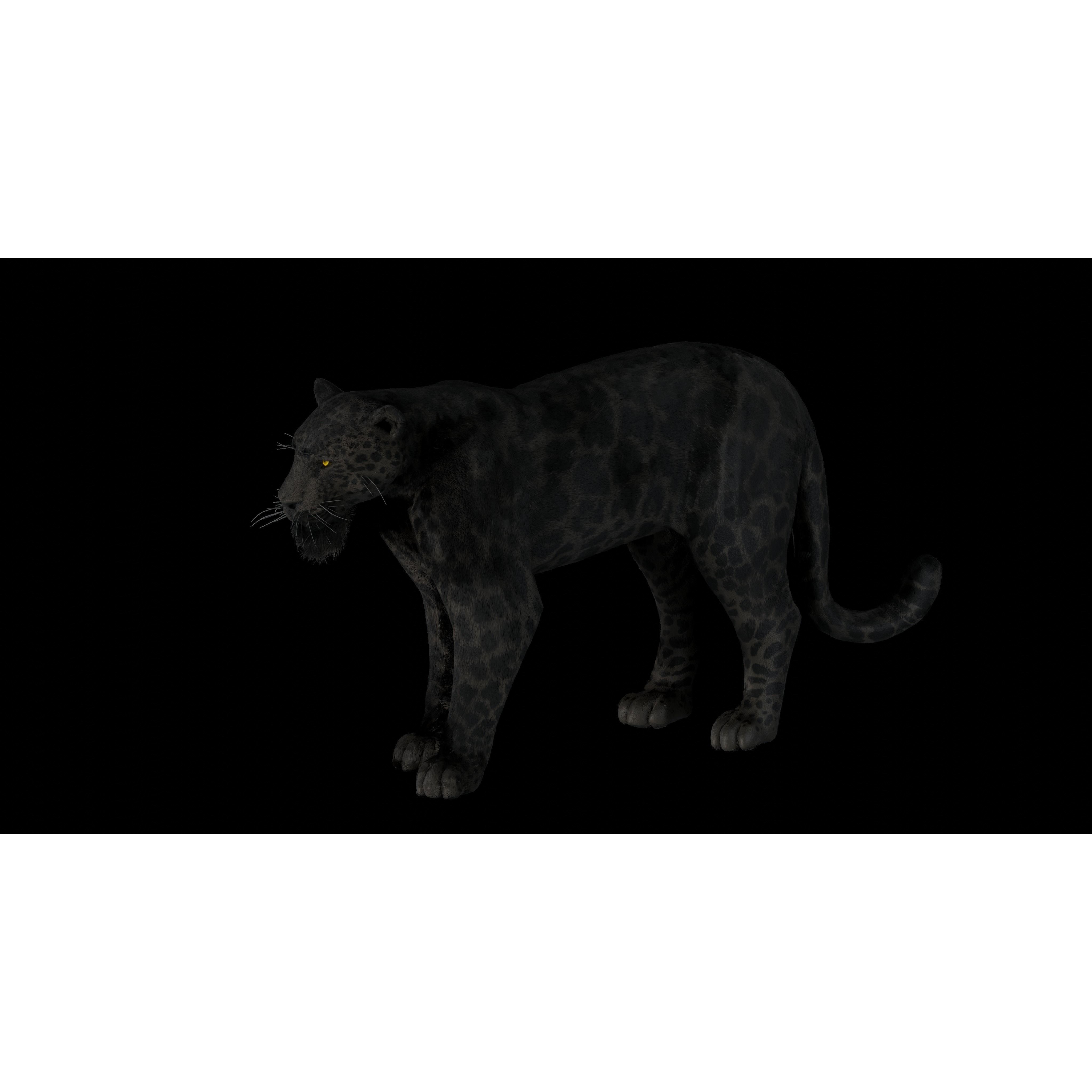 Black Panther Jaguar - Rigged Photorealistic 3D Model - View 6
