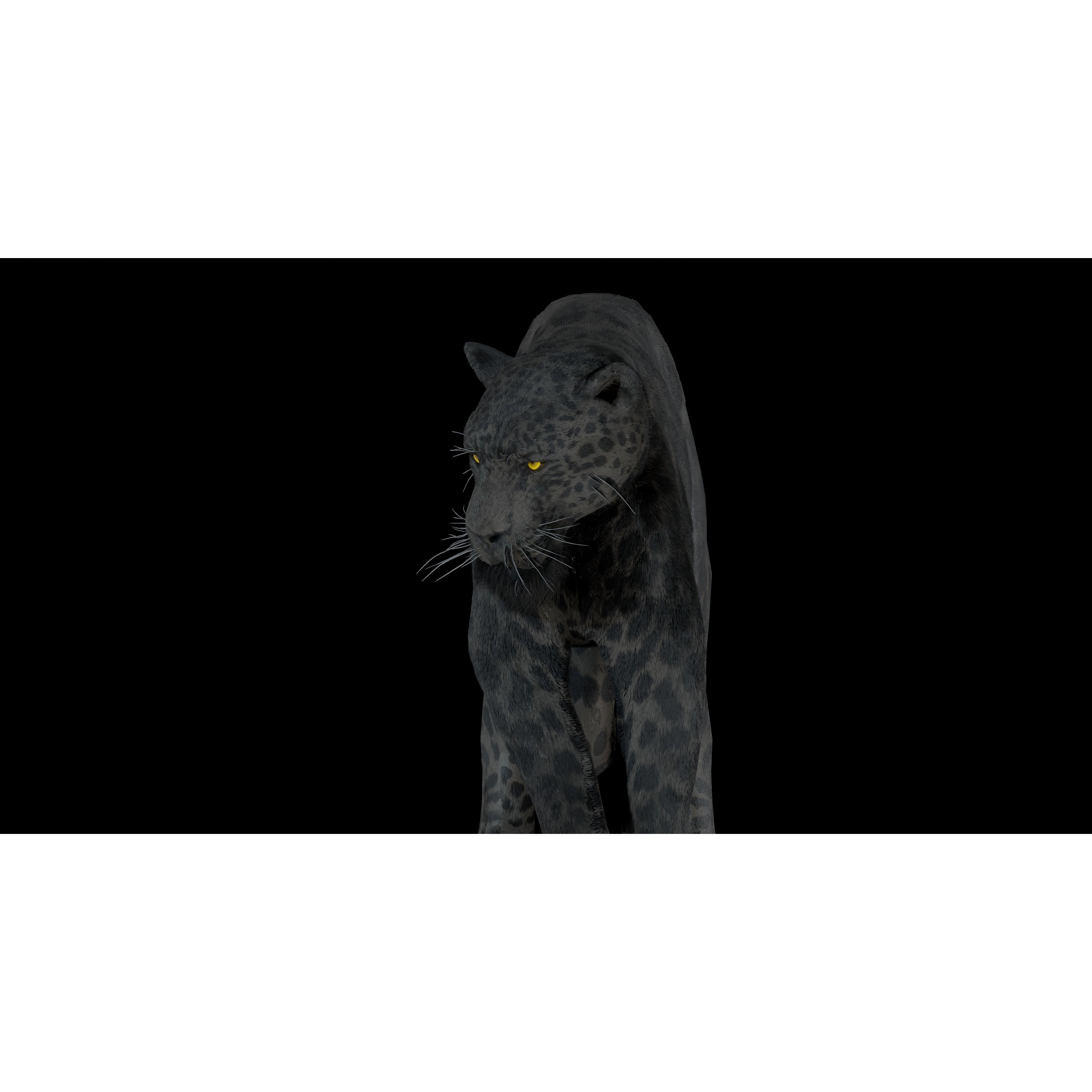 Black Panther Jaguar - Rigged Photorealistic 3D Model - View 7
