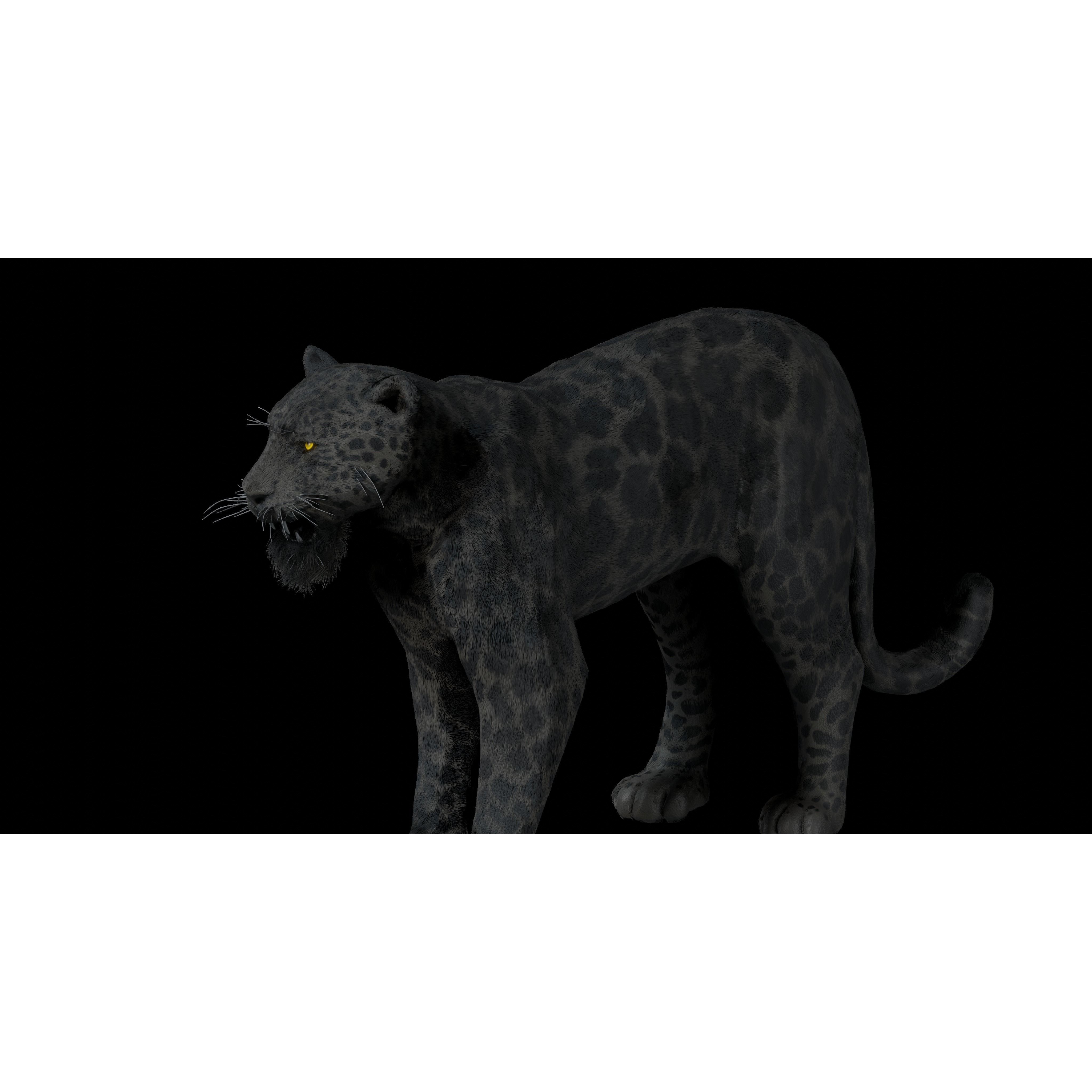 Black Panther Jaguar - Rigged Photorealistic 3D Model - View 8