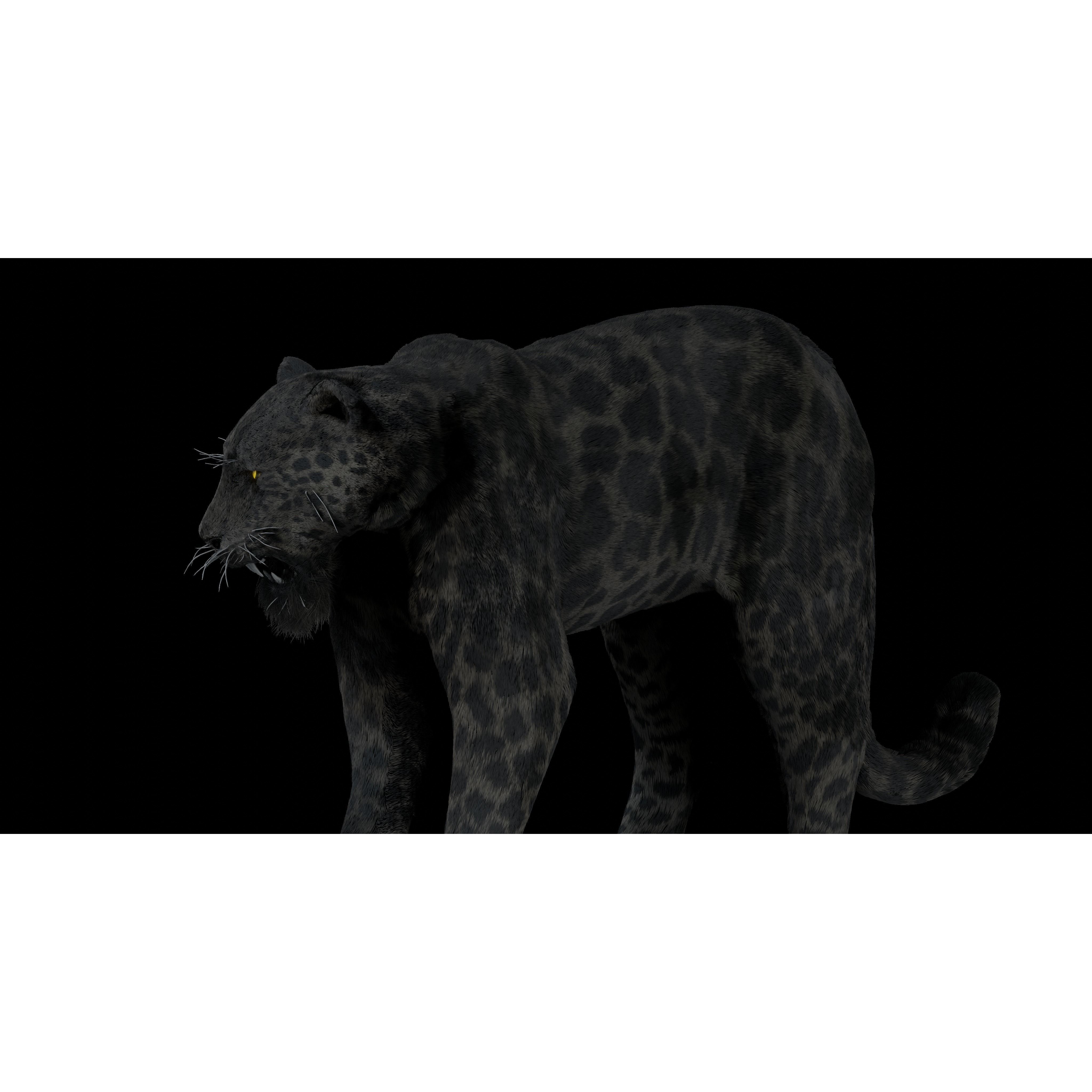 Black Panther Jaguar - Rigged Photorealistic 3D Model - View 9