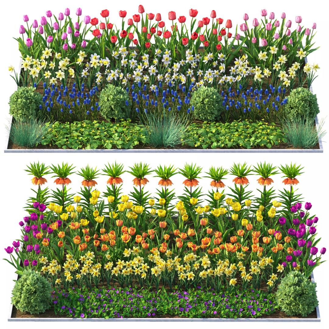 Flower Bed 3D Model – Garden Plant Asset with PBR Textures, FBX - View 2