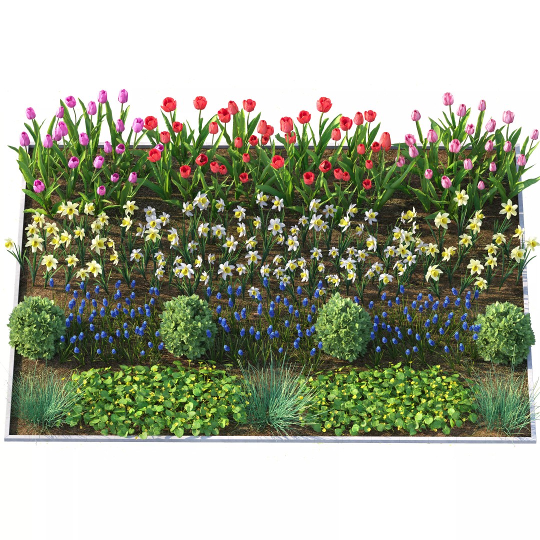 Flower Bed 3D Model – Garden Plant Asset with PBR Textures, FBX - View 4