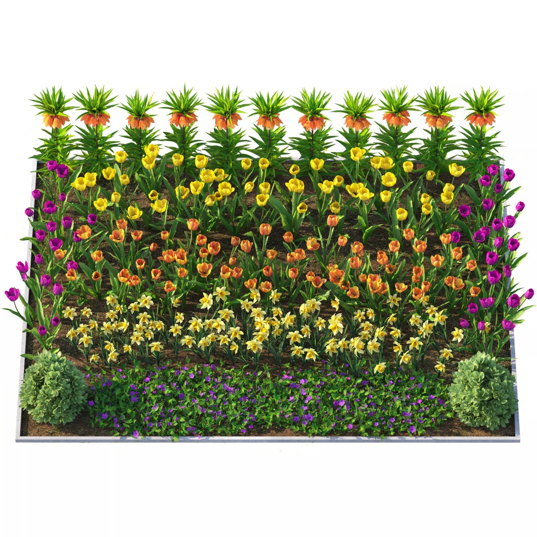 Flower Bed 3D Model – Garden Plant Asset with PBR Textures, FBX - View 5