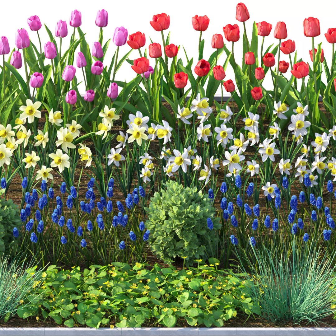 Flower Bed 3D Model – Garden Plant Asset with PBR Textures, FBX - View 6