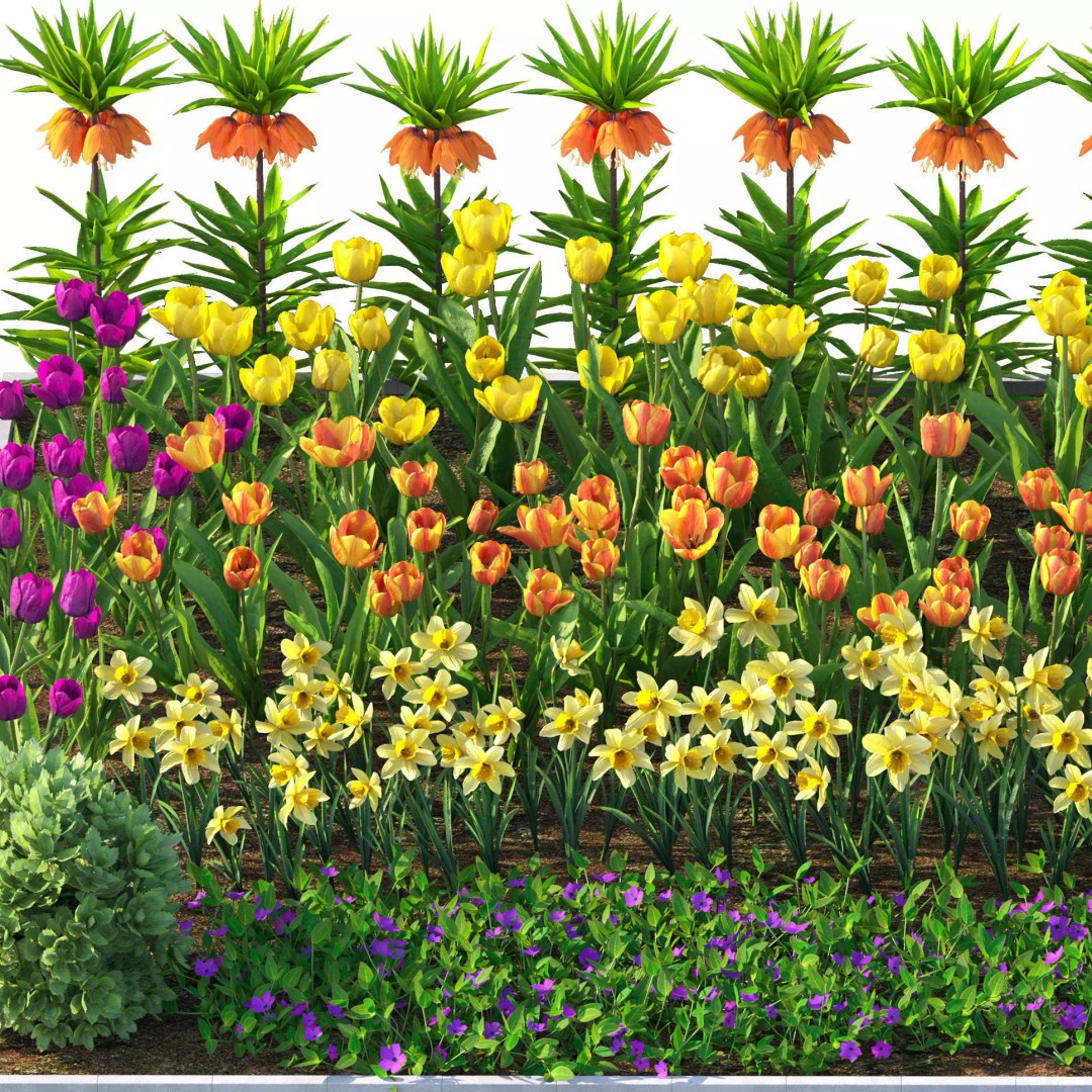 Flower Bed 3D Model – Garden Plant Asset with PBR Textures, FBX - View 7