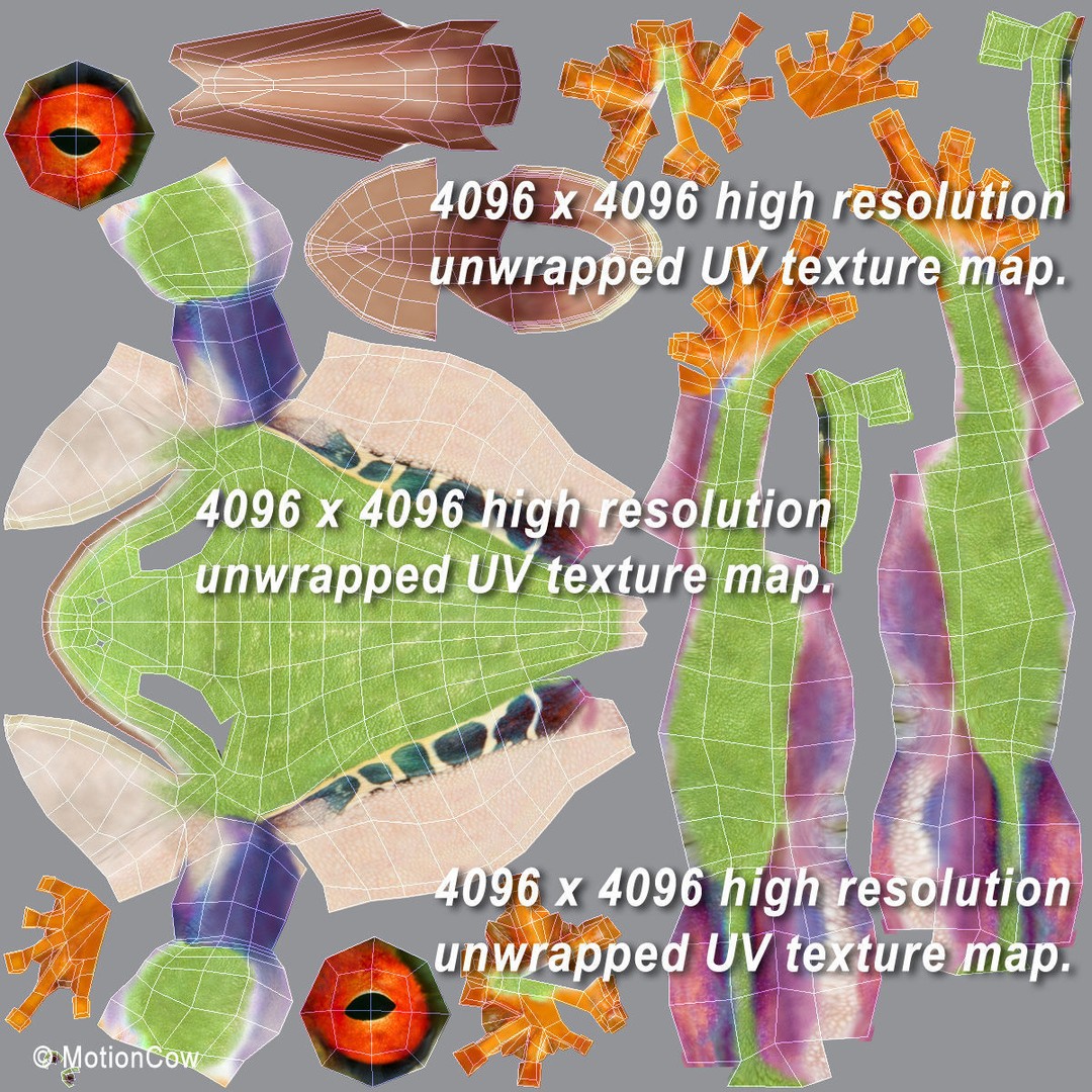 Red-Eyed Tree Frog 3D Model – Rigged PBR Animation Asset, FBX