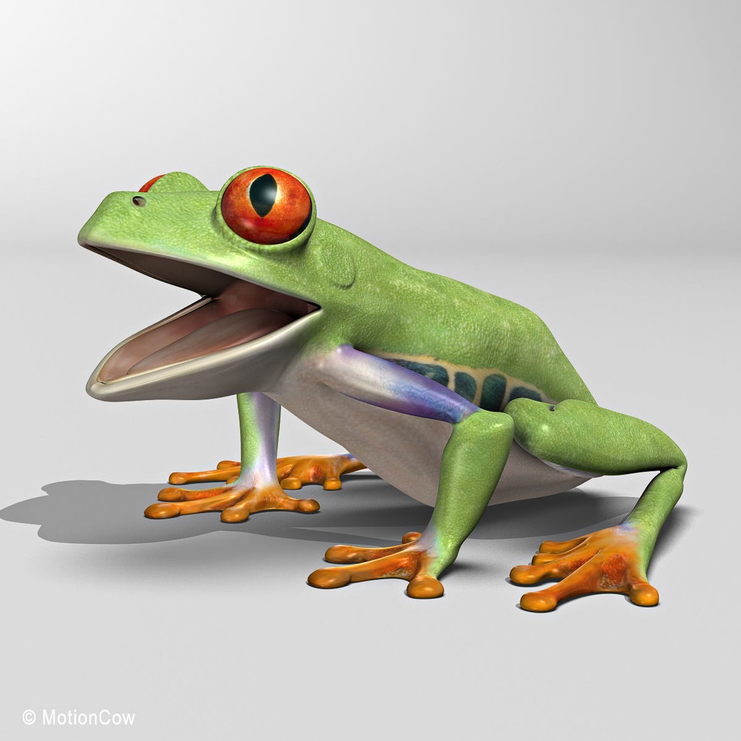 Red-Eyed Tree Frog 3D Model – Rigged PBR Animation Asset, FBX - View 10