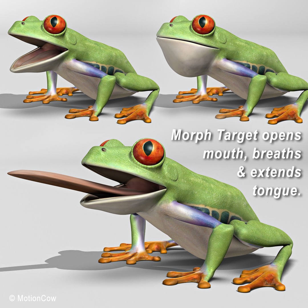 Red-Eyed Tree Frog 3D Model – Rigged PBR Animation Asset, FBX - View 11