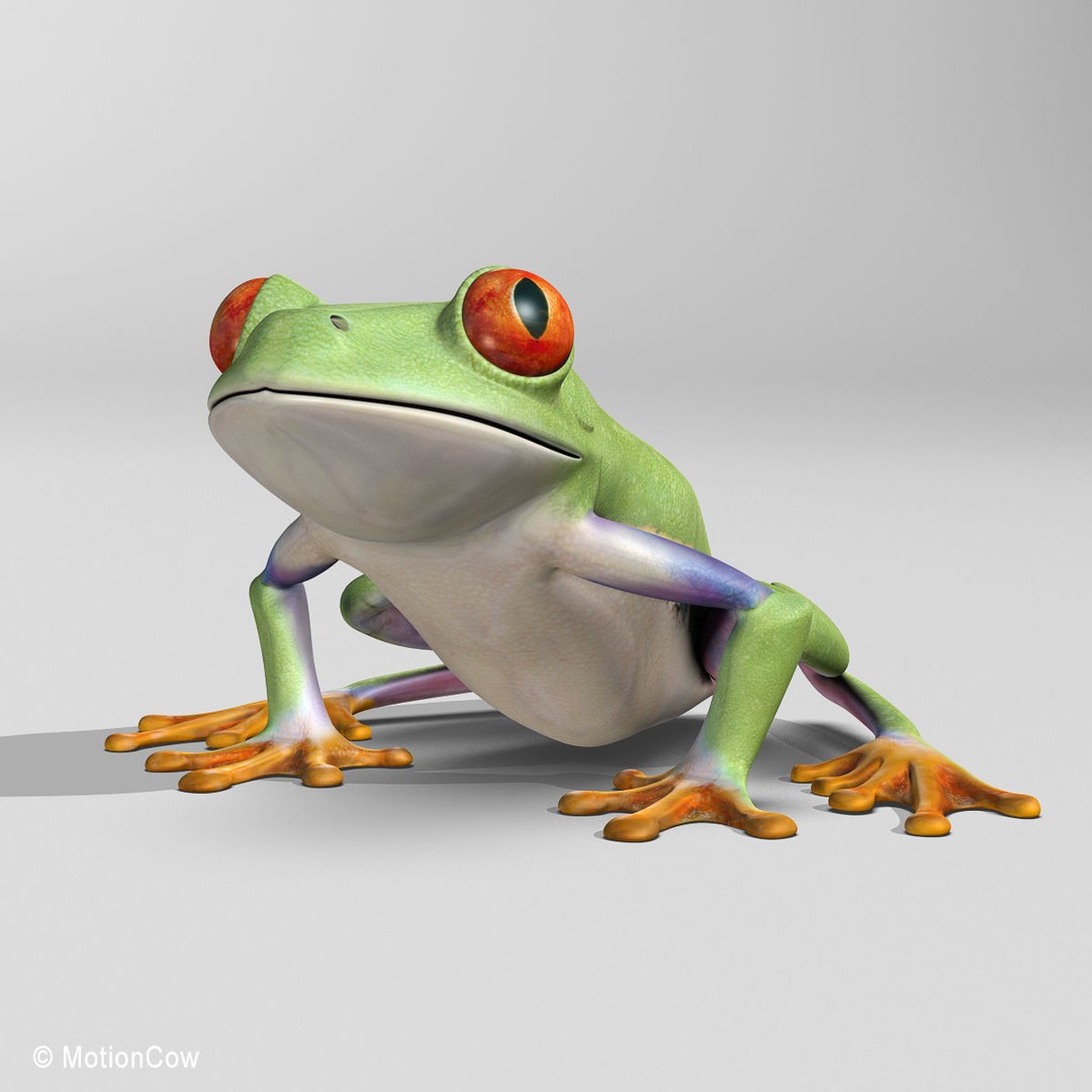Red-Eyed Tree Frog 3D Model – Rigged PBR Animation Asset, FBX - View 14