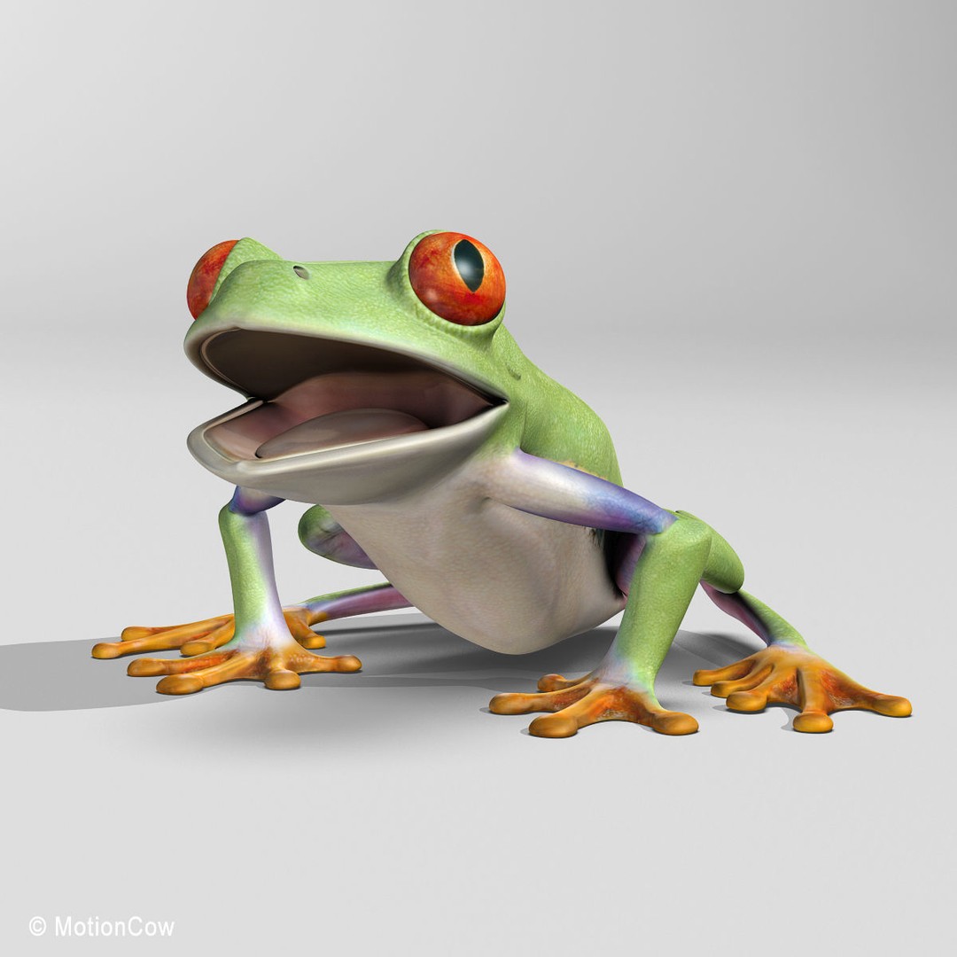 Red-Eyed Tree Frog 3D Model – Rigged PBR Animation Asset, FBX - View 15