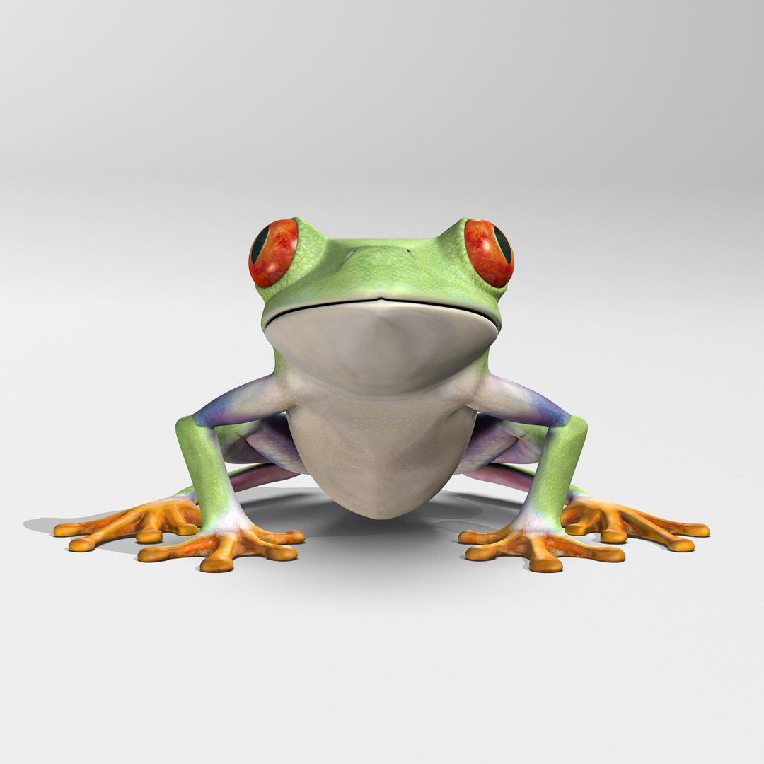 Red-Eyed Tree Frog 3D Model – Rigged PBR Animation Asset, FBX - View 18