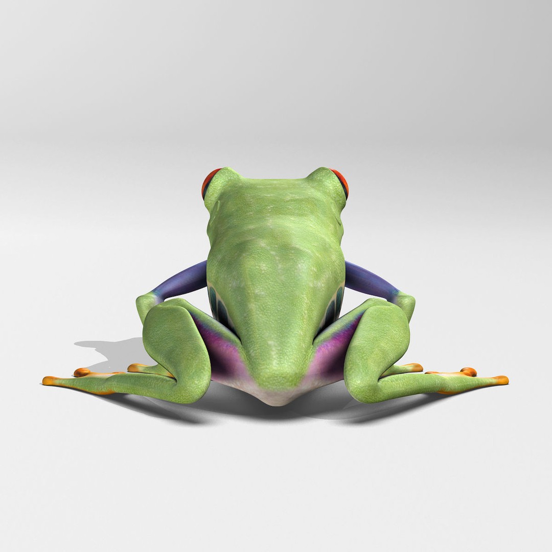Red-Eyed Tree Frog 3D Model – Rigged PBR Animation Asset, FBX - View 19