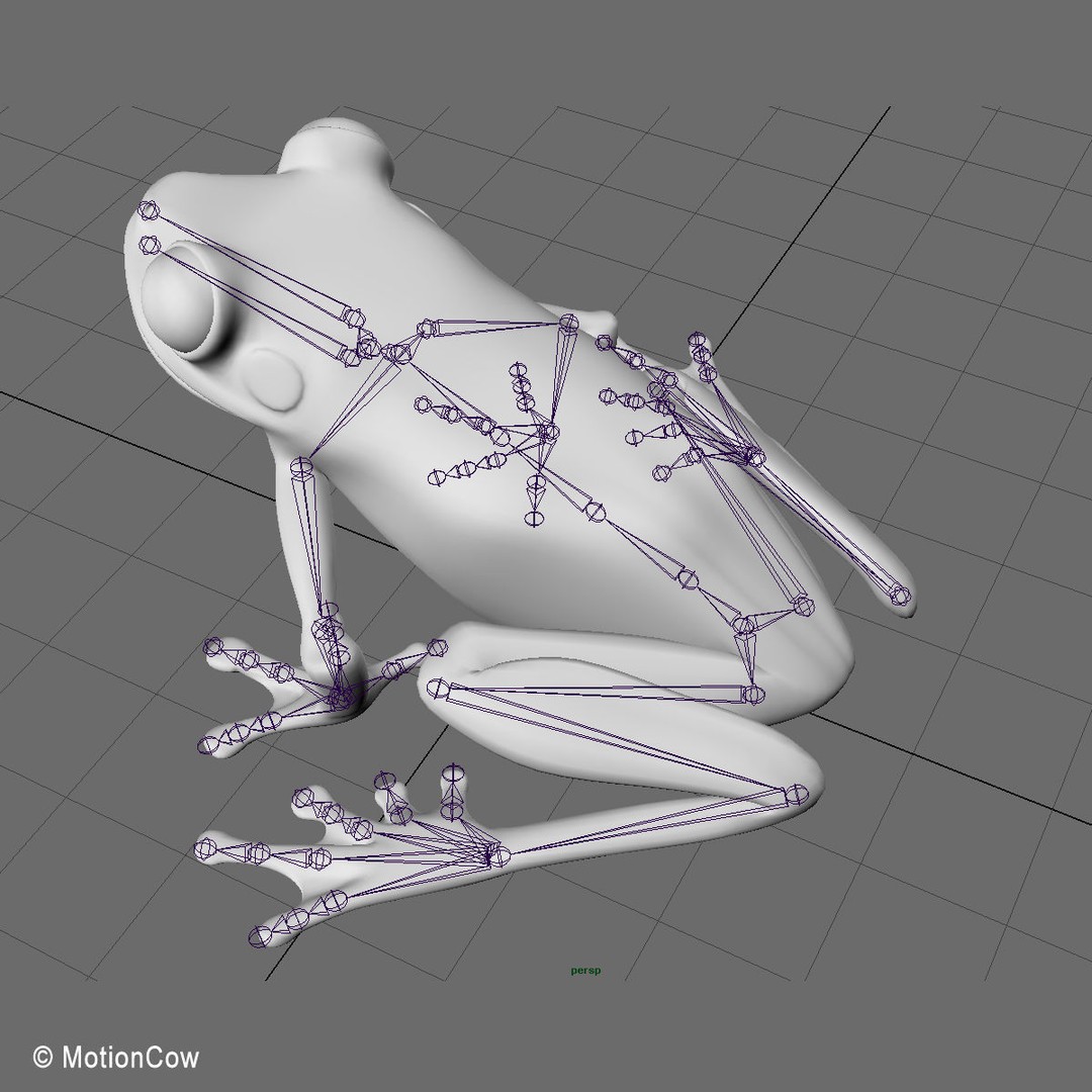 Red-Eyed Tree Frog 3D Model – Rigged PBR Animation Asset, FBX - View 20
