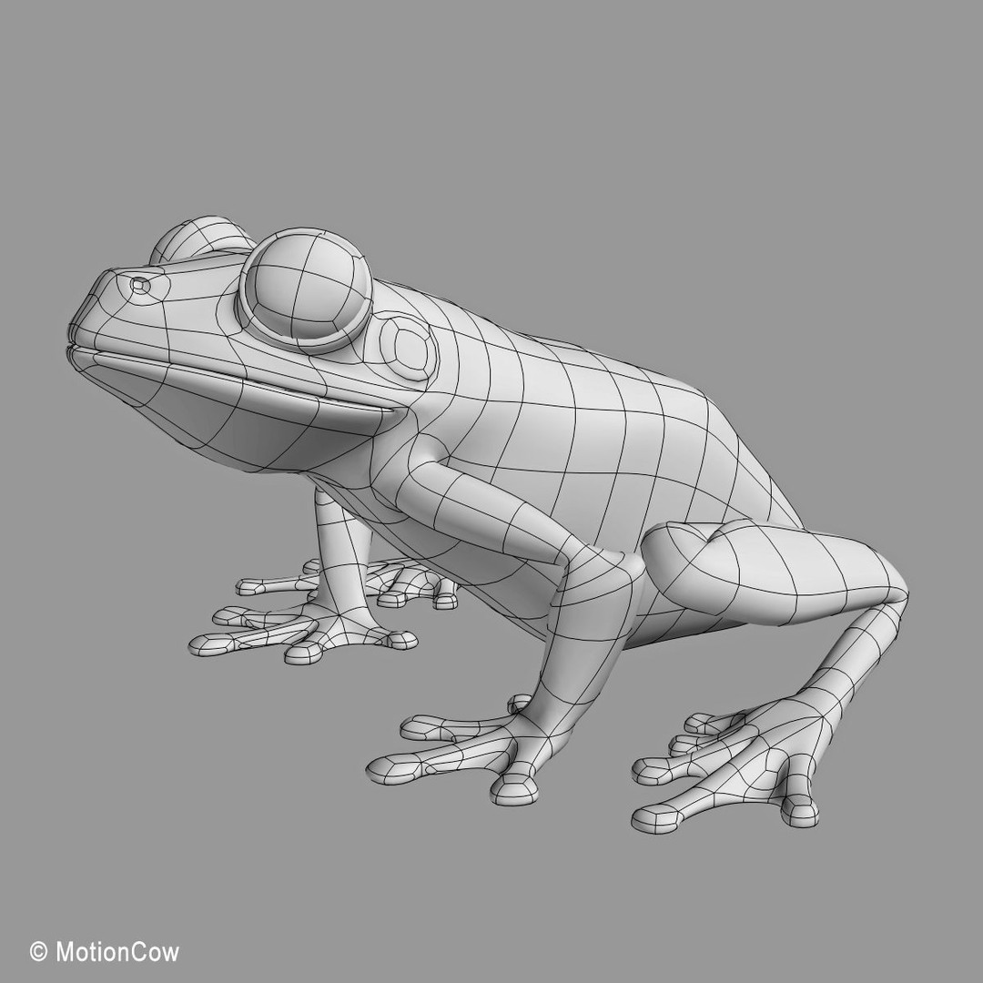 Red-Eyed Tree Frog 3D Model – Rigged PBR Animation Asset, FBX - View 21