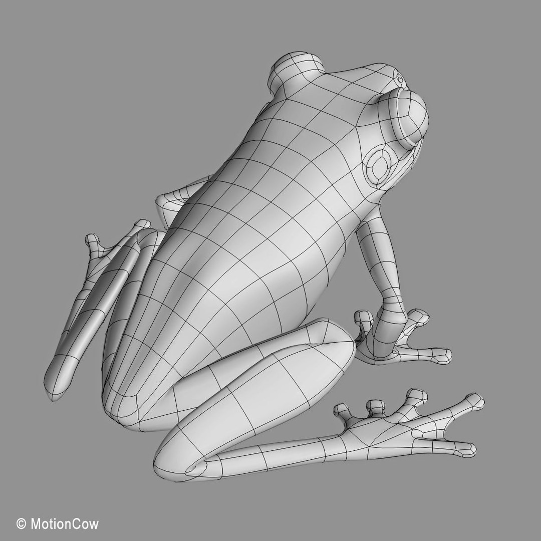 Red-Eyed Tree Frog 3D Model – Rigged PBR Animation Asset, FBX - View 22