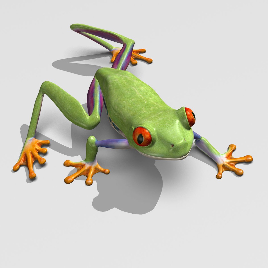 Red-Eyed Tree Frog 3D Model – Rigged PBR Animation Asset, FBX - View 7