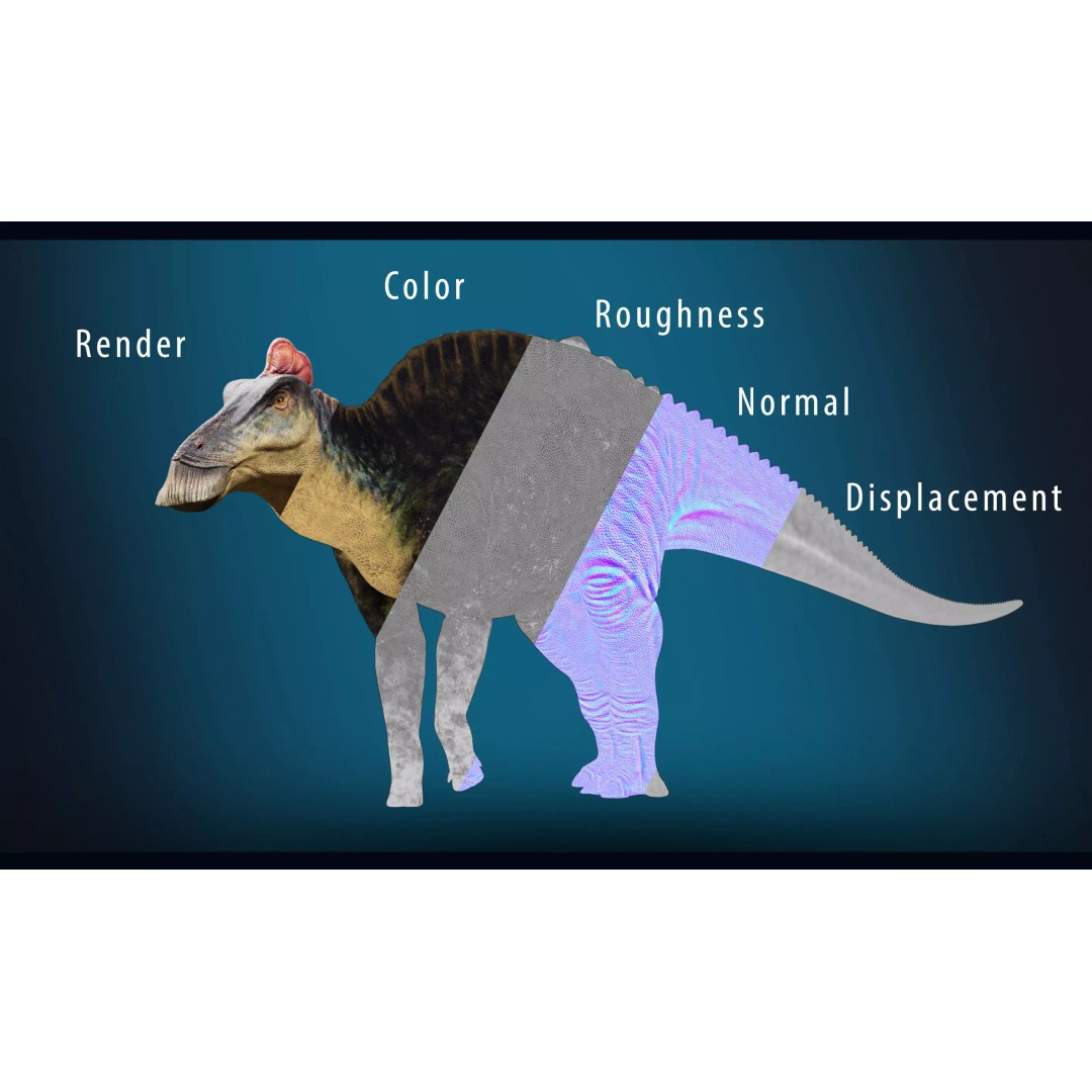 Edmontosaurus 3D Model – Low Poly Rigged Dinosaur with PBR Textures - View 13